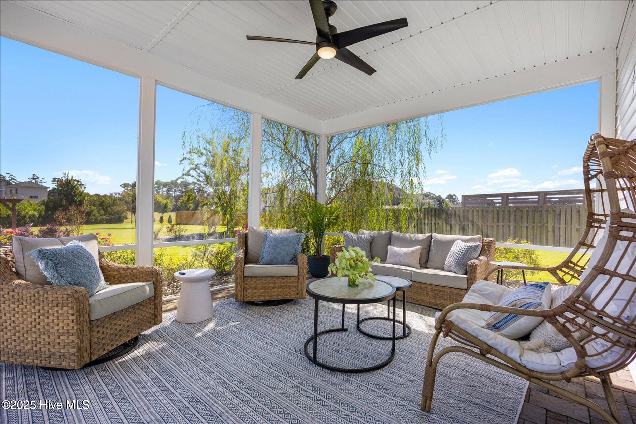 100546095 | Photo 11