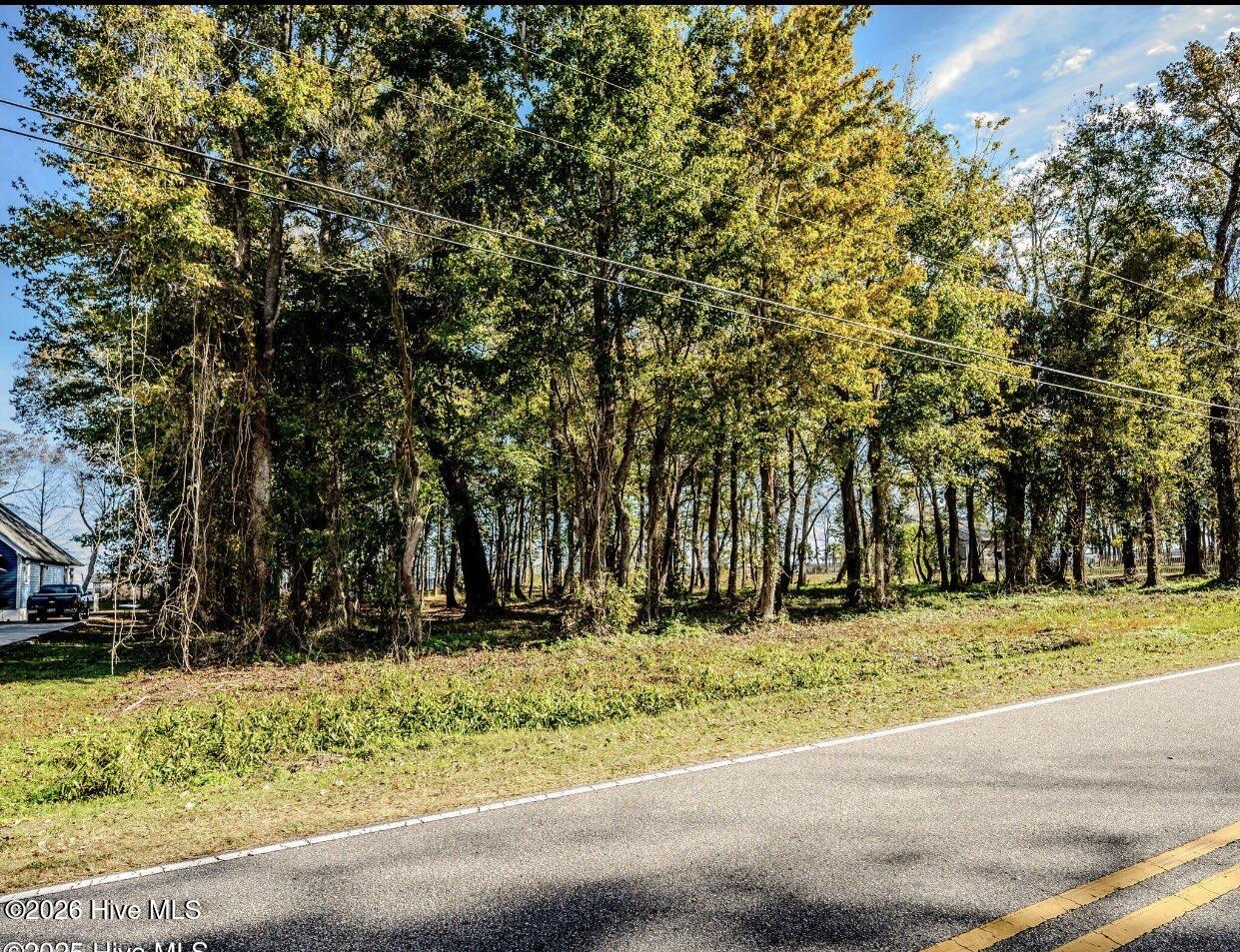 100560316 | Photo 20