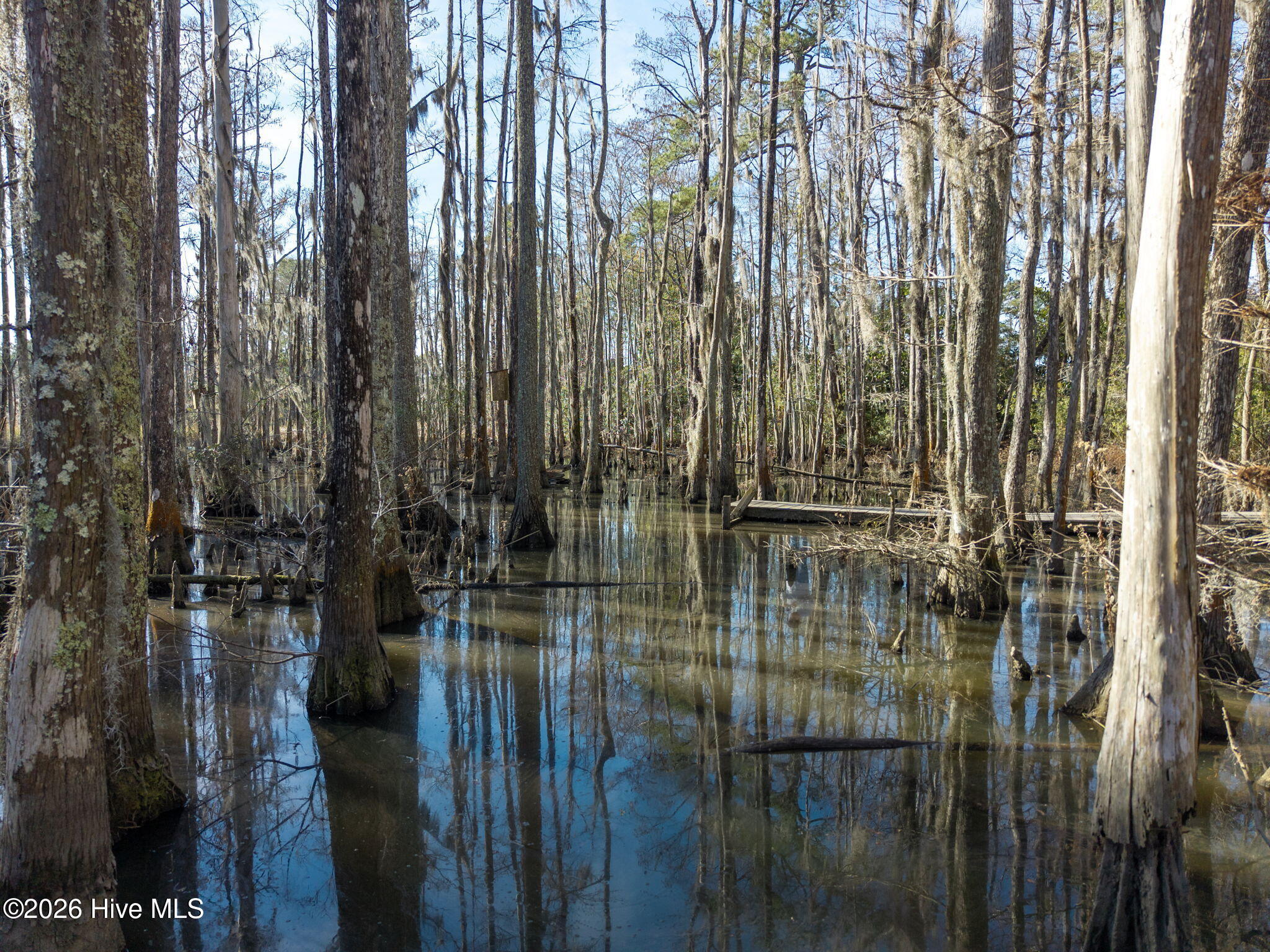 100550743 | Photo 24