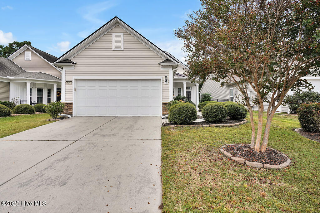 100532271 | Photo 31