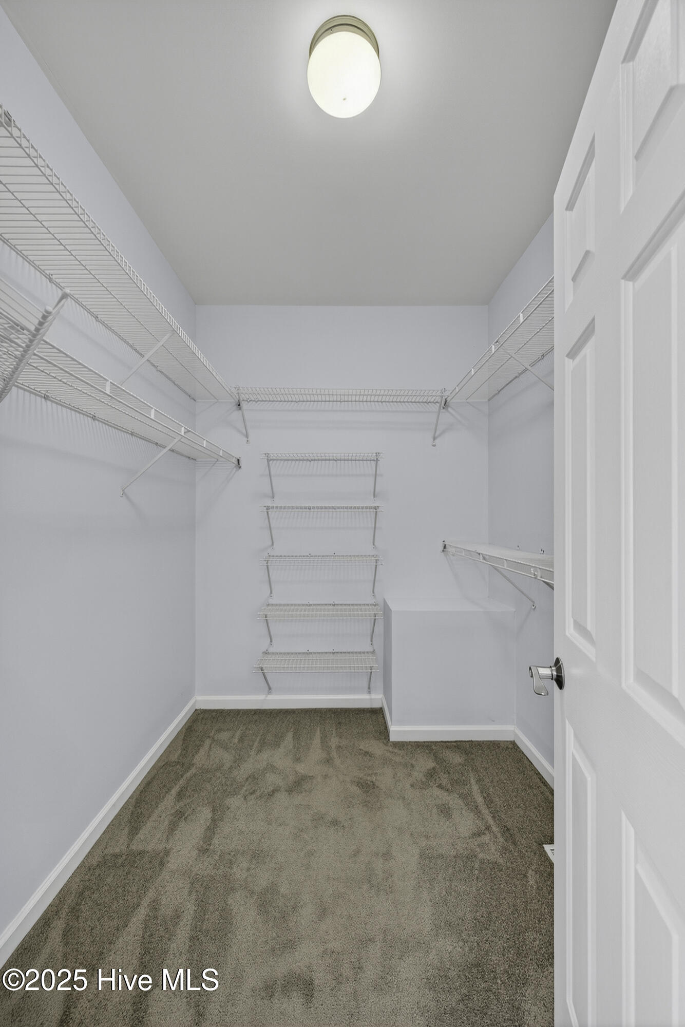 100539038 | Photo 52