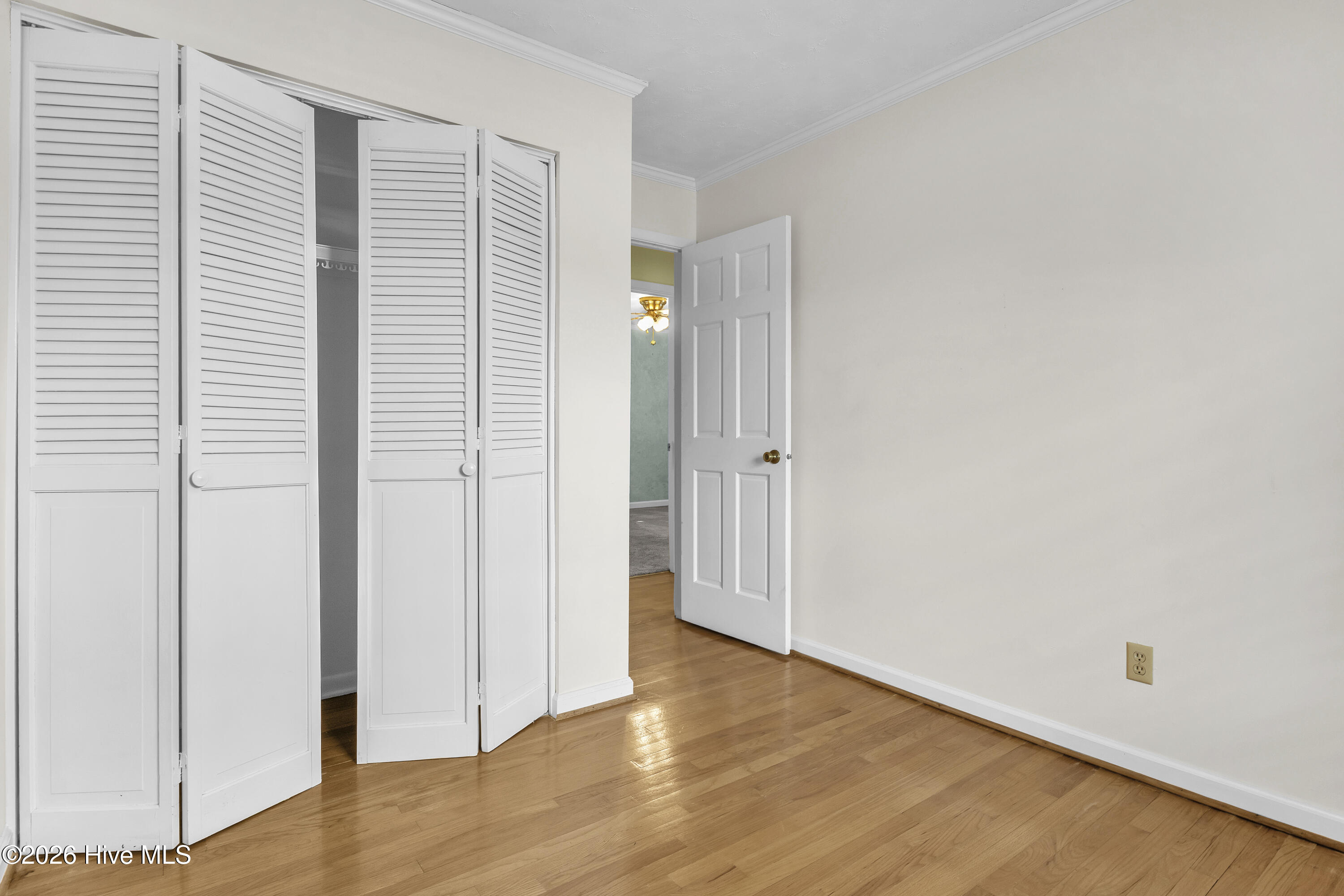 100555841 | Photo 32