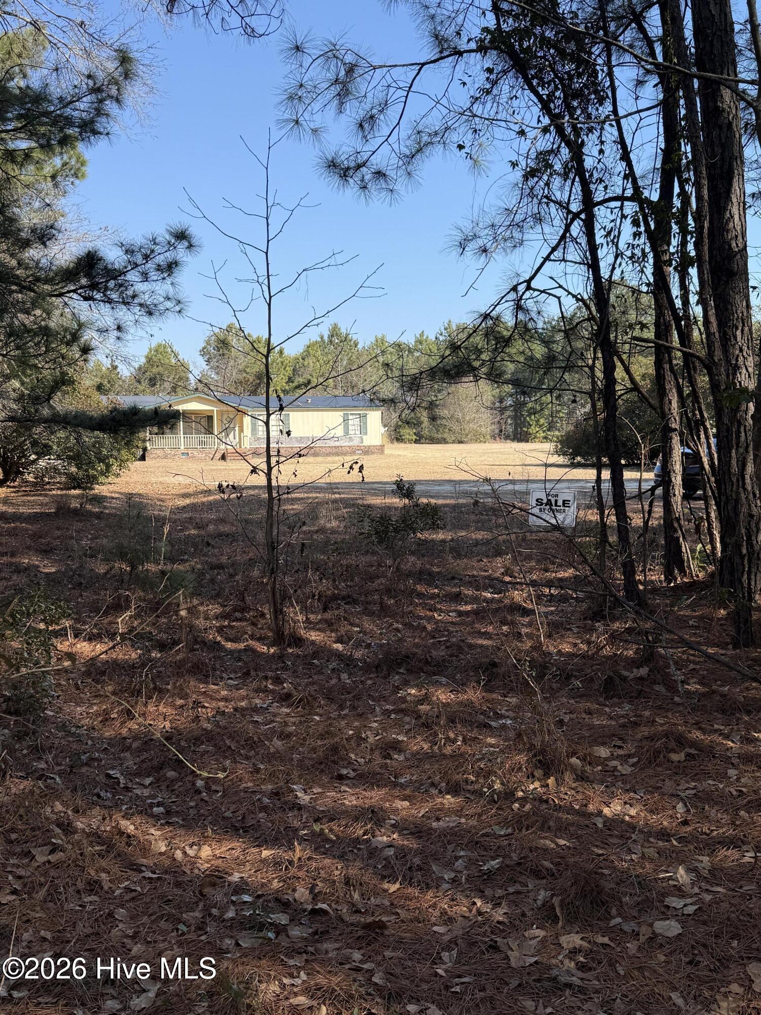 100554571 | Photo 16