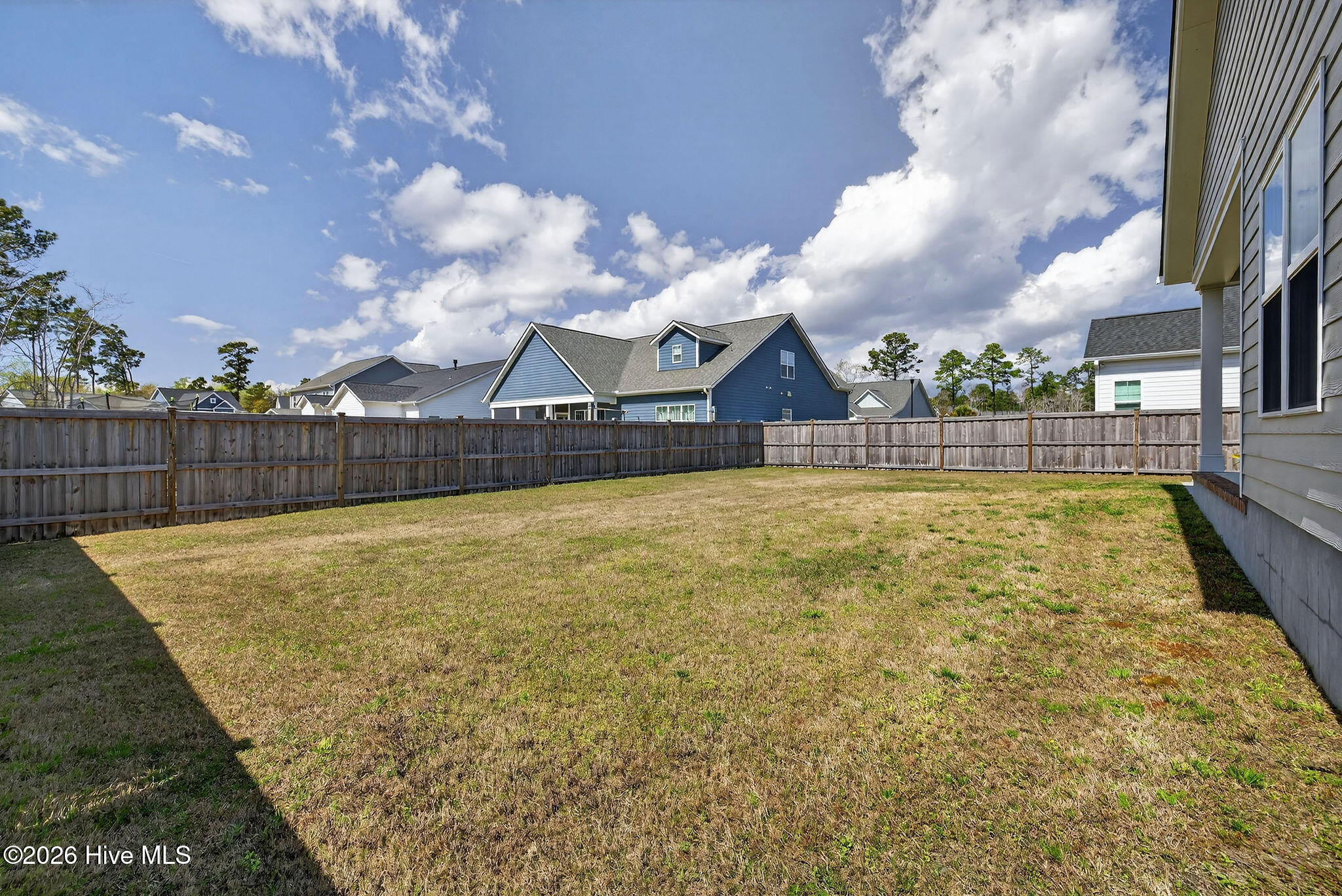 100563102 | Photo 38