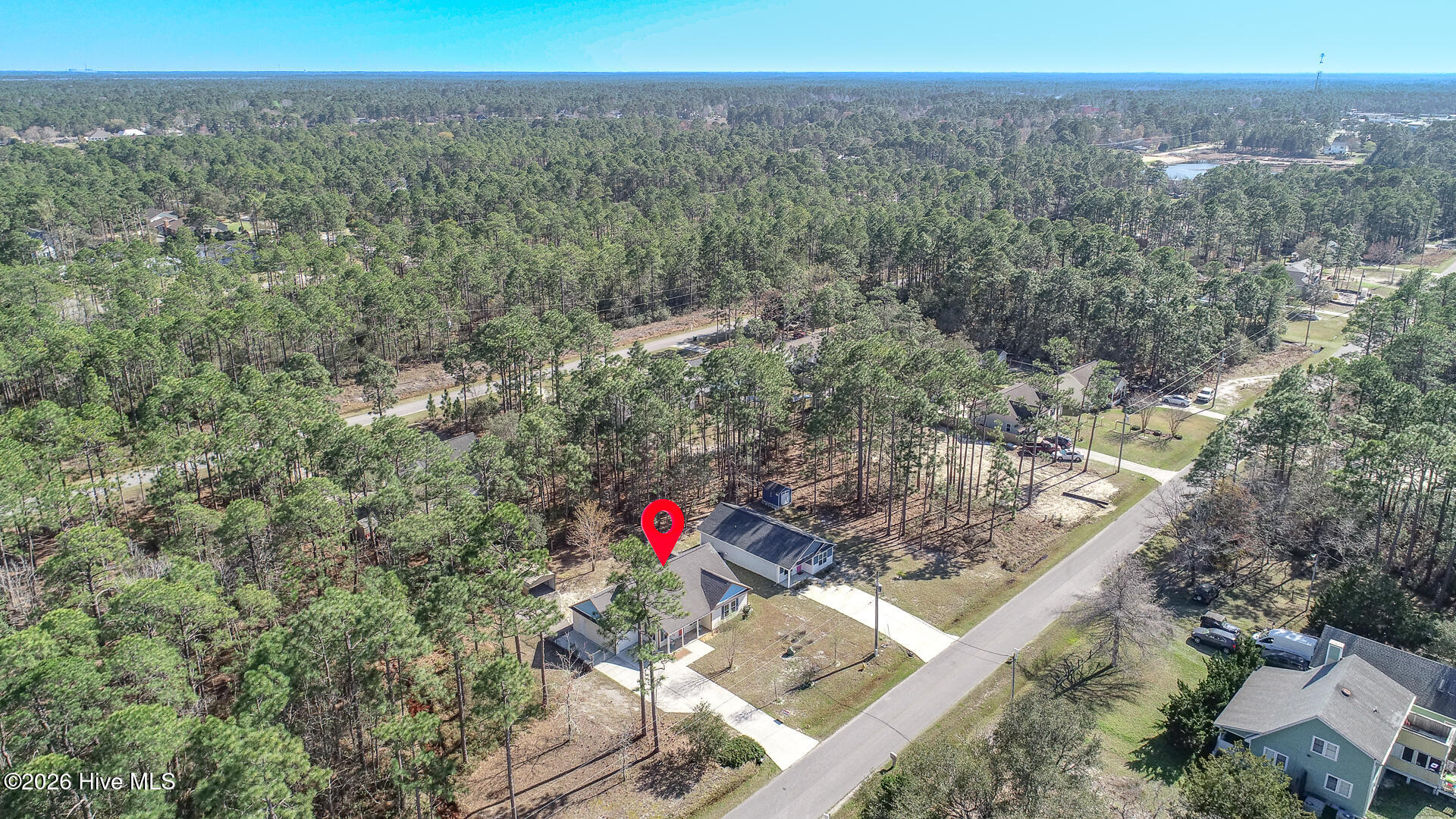 100562113 | Photo 34