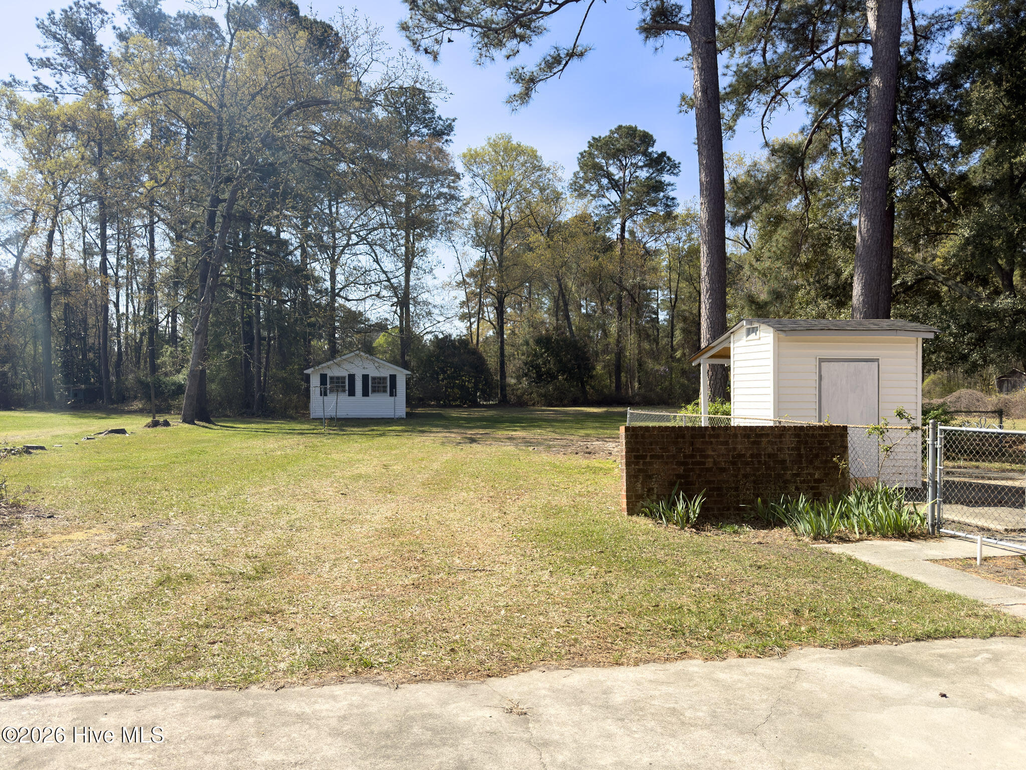 100567353 | Photo 11