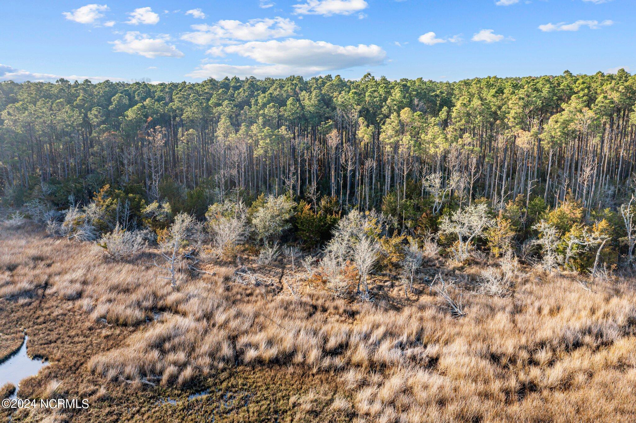 100432193 | Photo 17