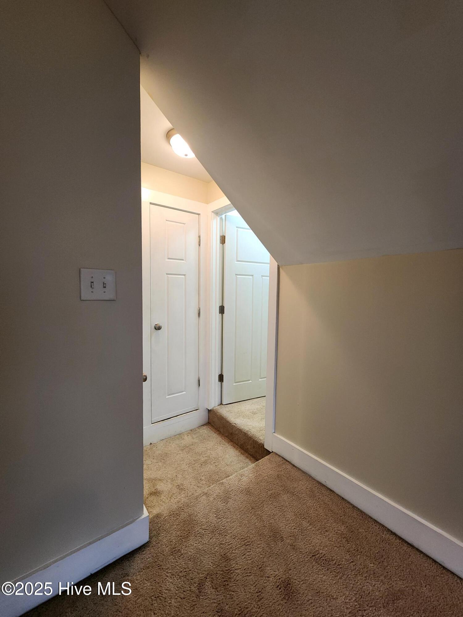 100569156 | Photo 41