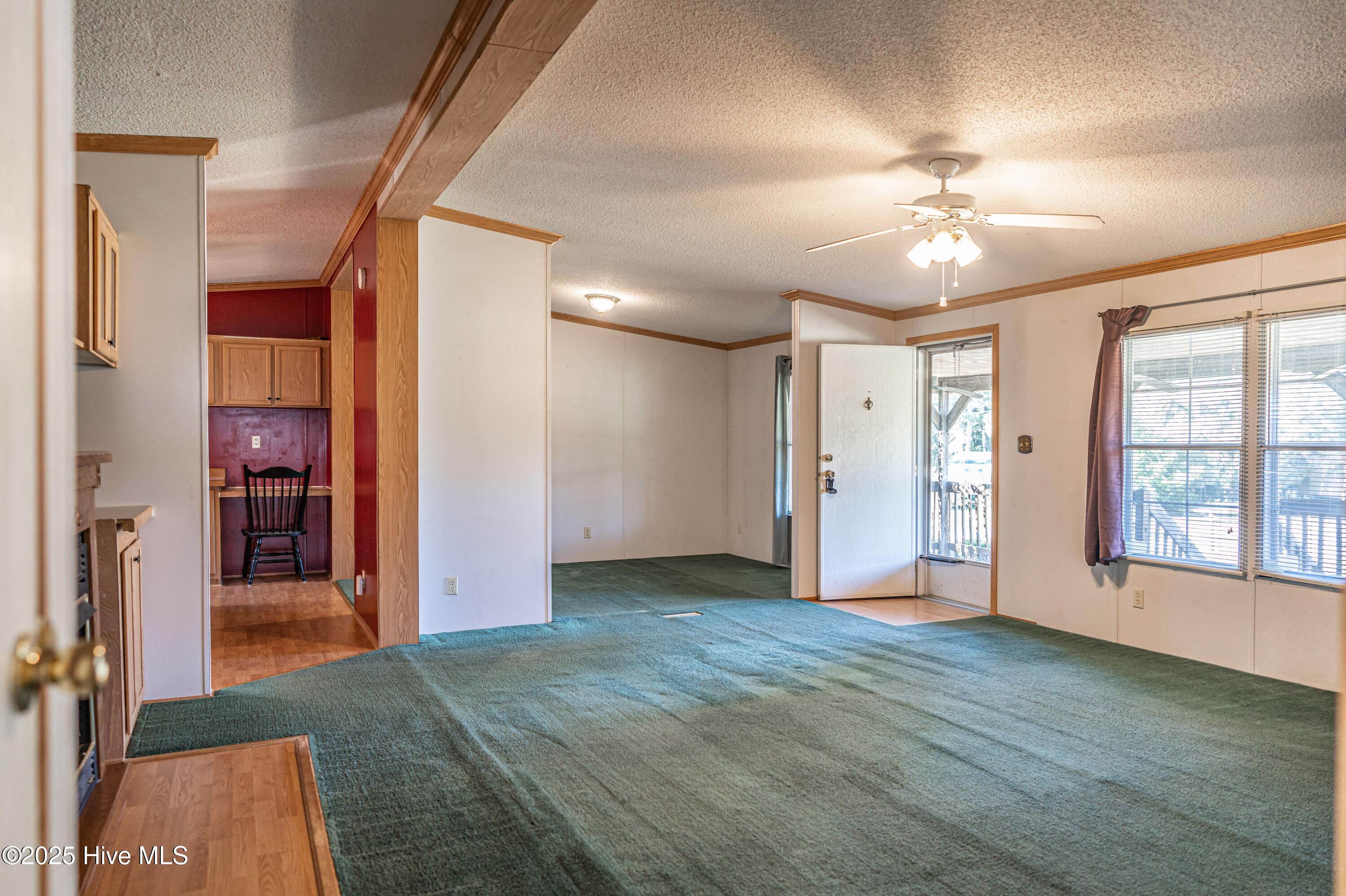 113 Holly Place
