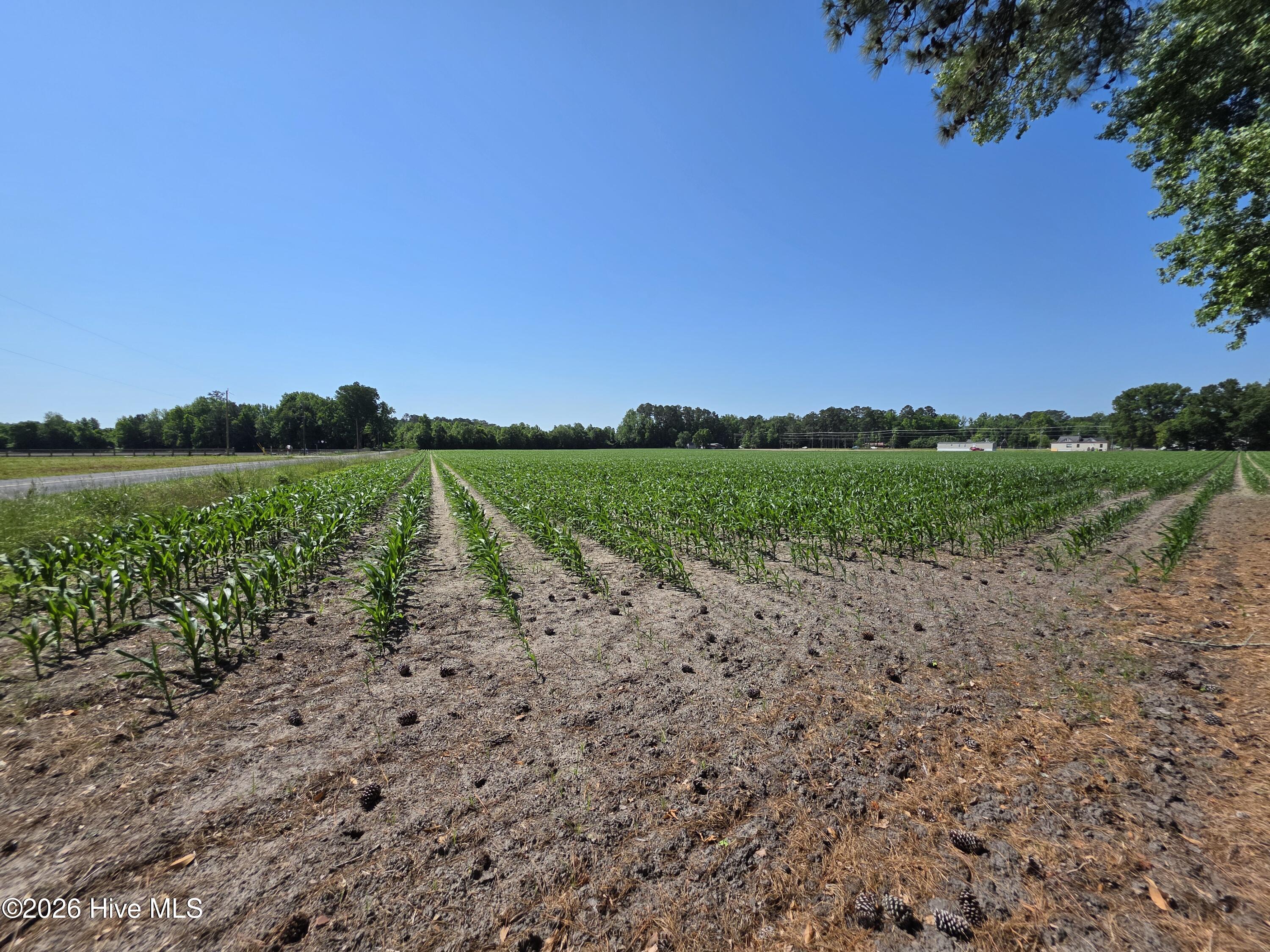 0 Old Brick Road,Vanceboro