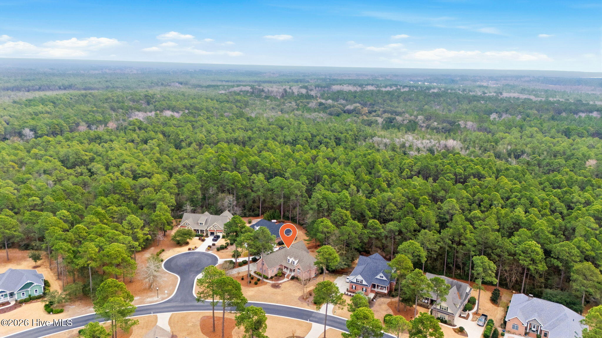 100556153 | Photo 14