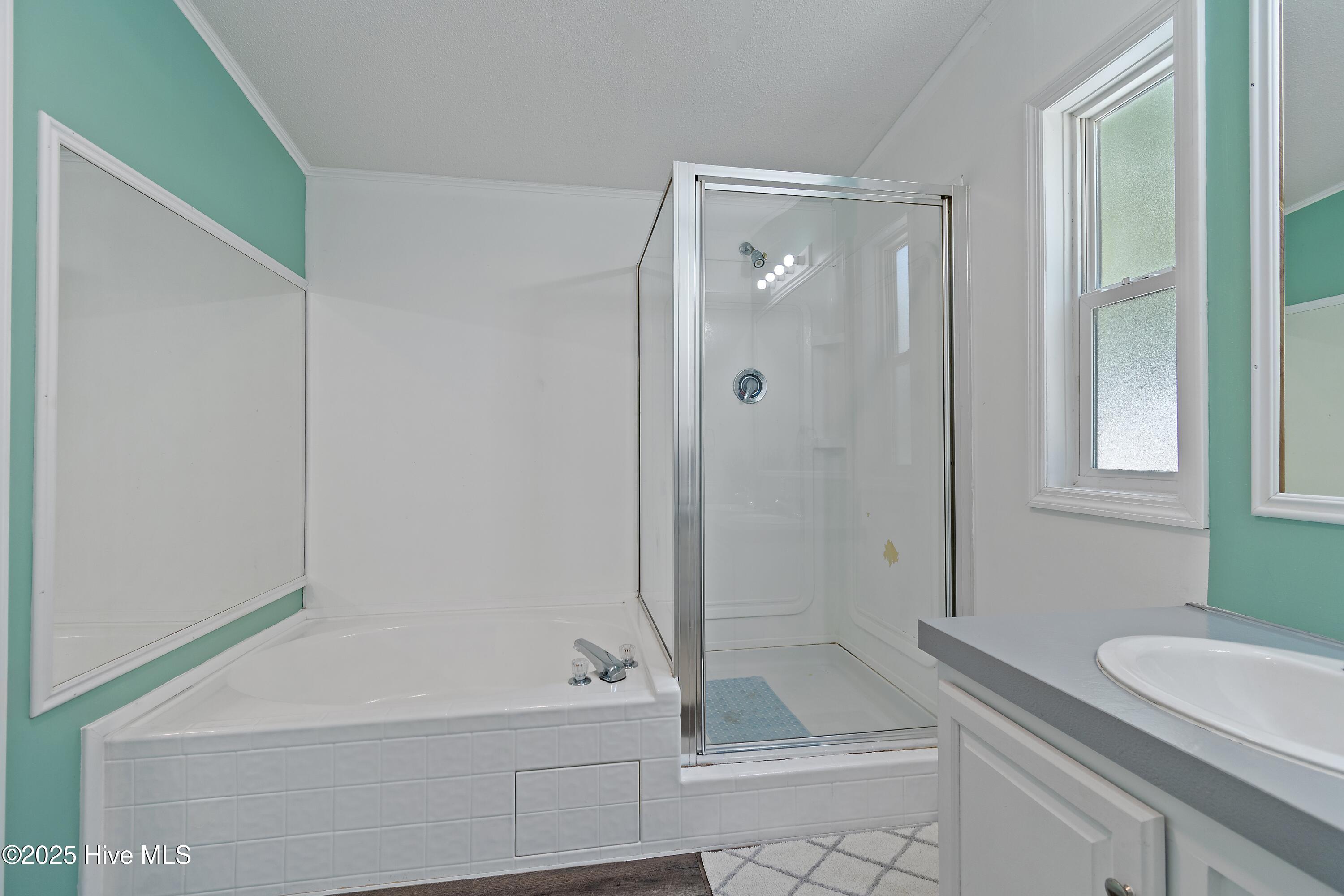 100525388 | Photo 15