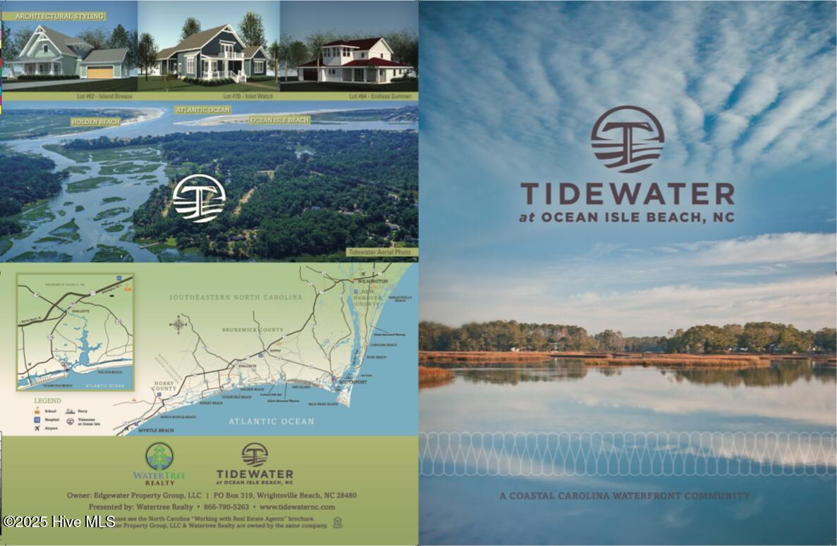 100524017 | Photo 21