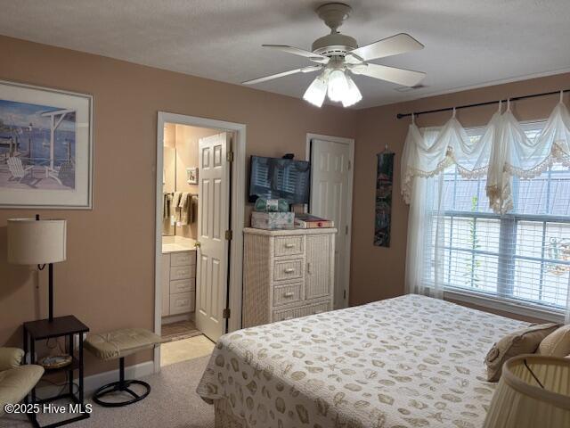 100538319 | Photo 19