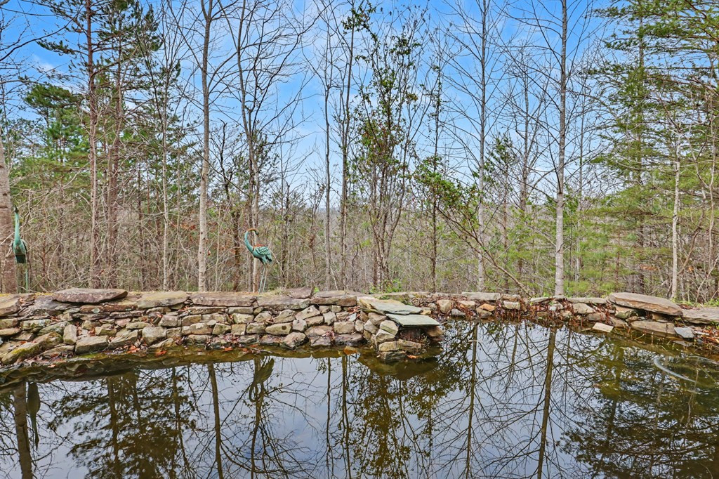 368 Sierra Springs Drive, Murphy, NC 28906 Listing Photo  64