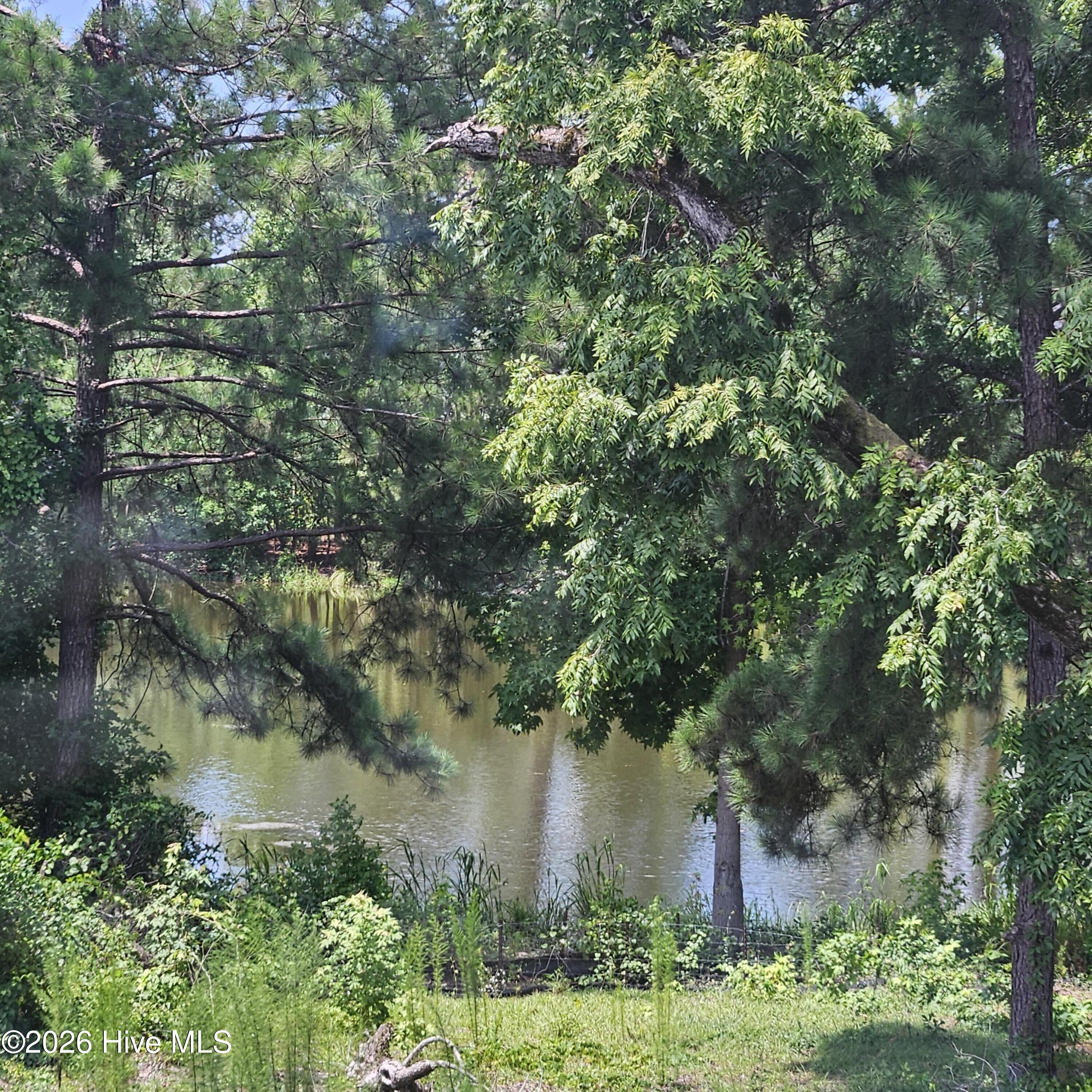 Pond