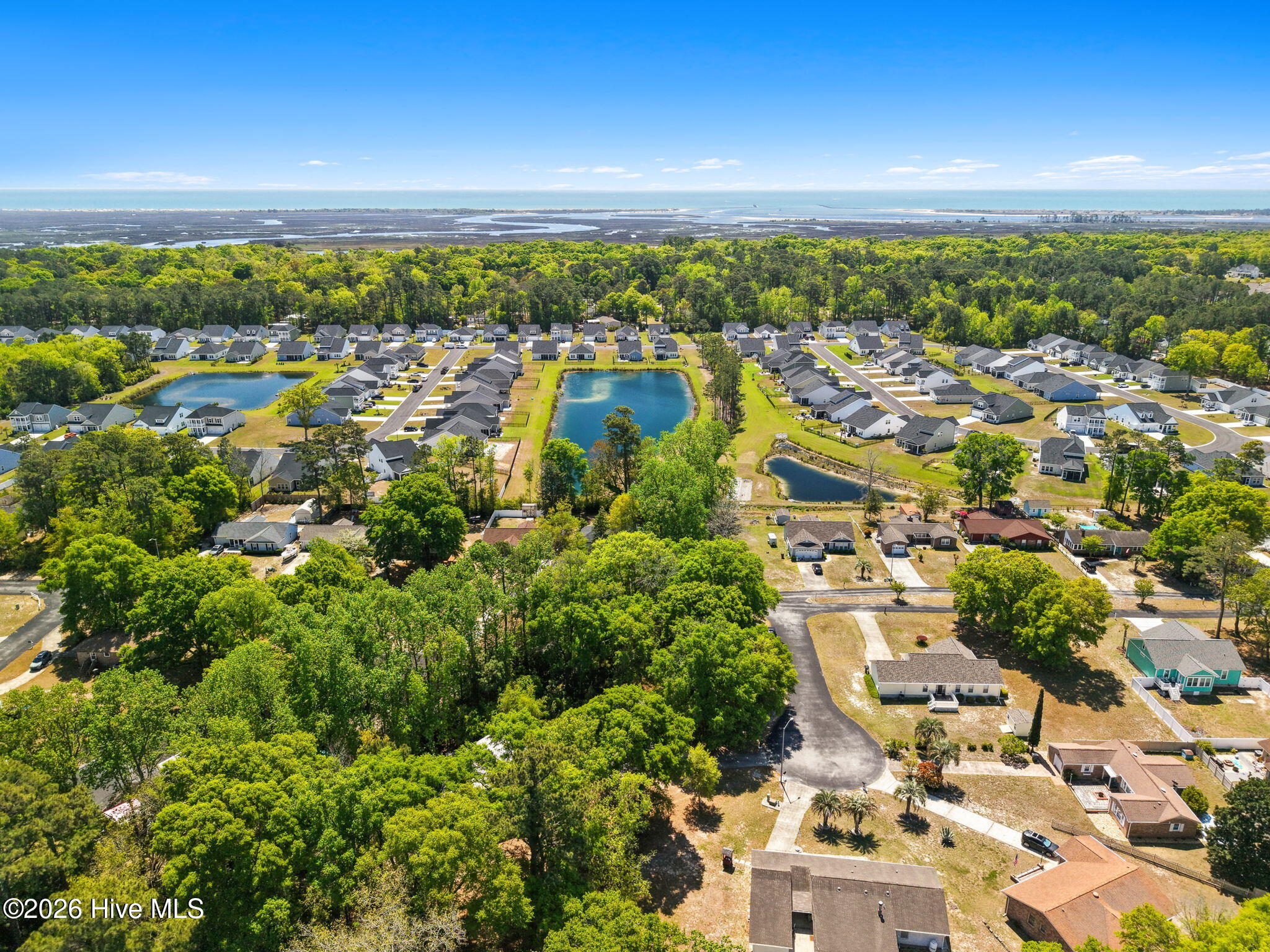 100566837 | Photo 19