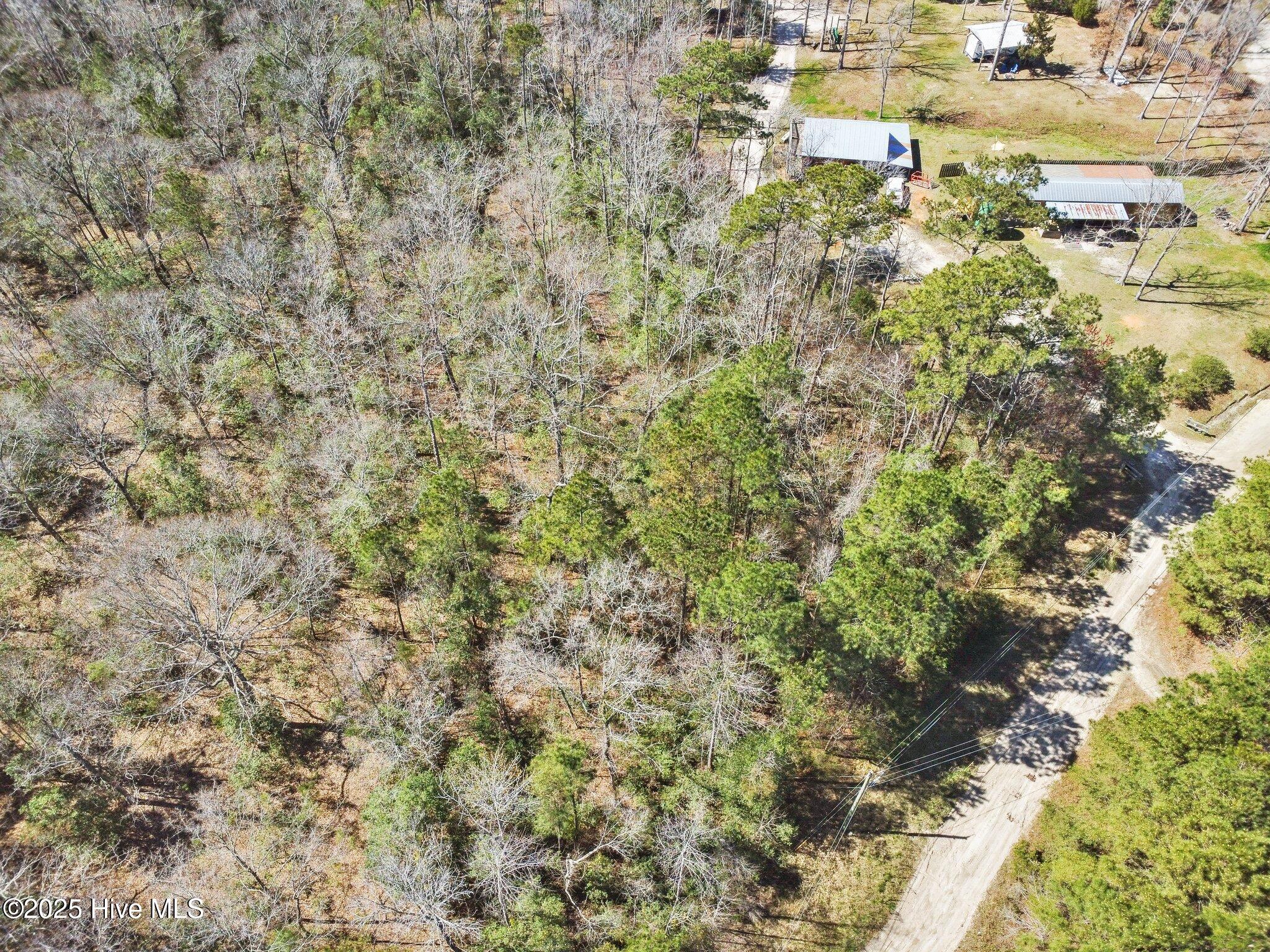 100493320 | Photo 11