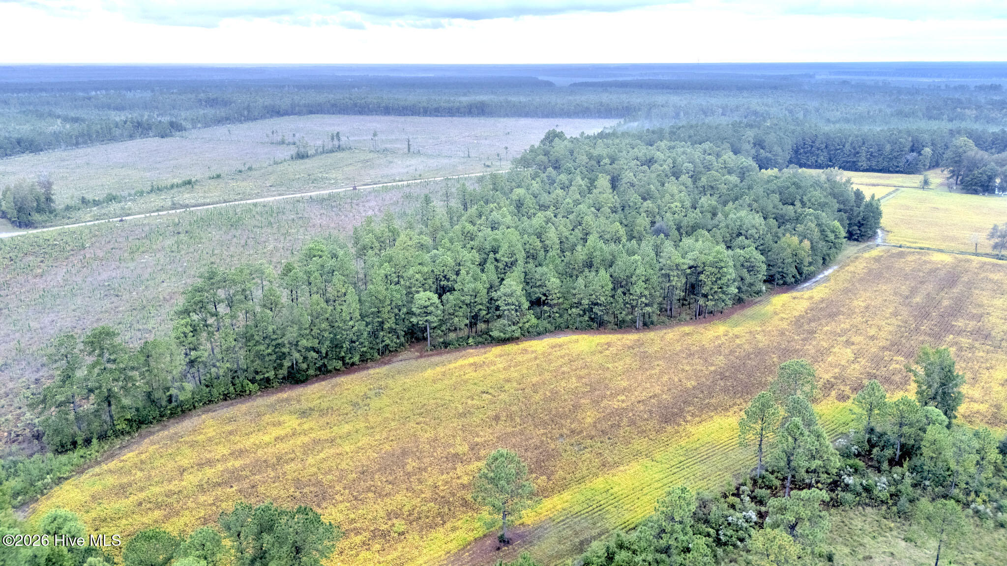 10.57 Ac Egypt Road NW, Ash, NC, 28420