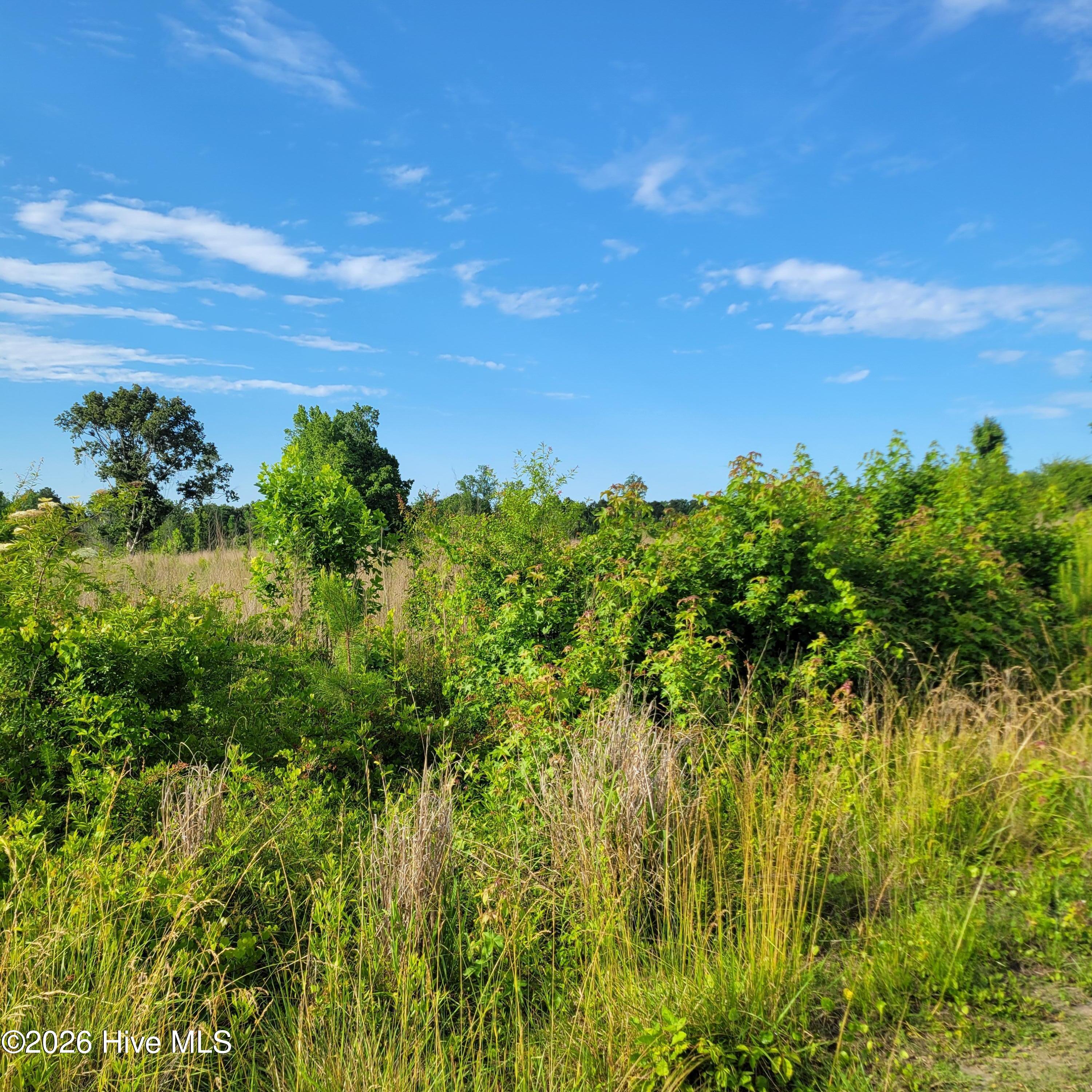3215492710 Little Kelly Road image