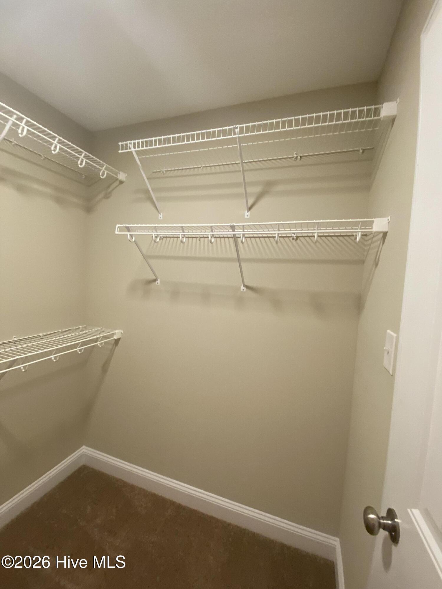 100567028 | Photo 11