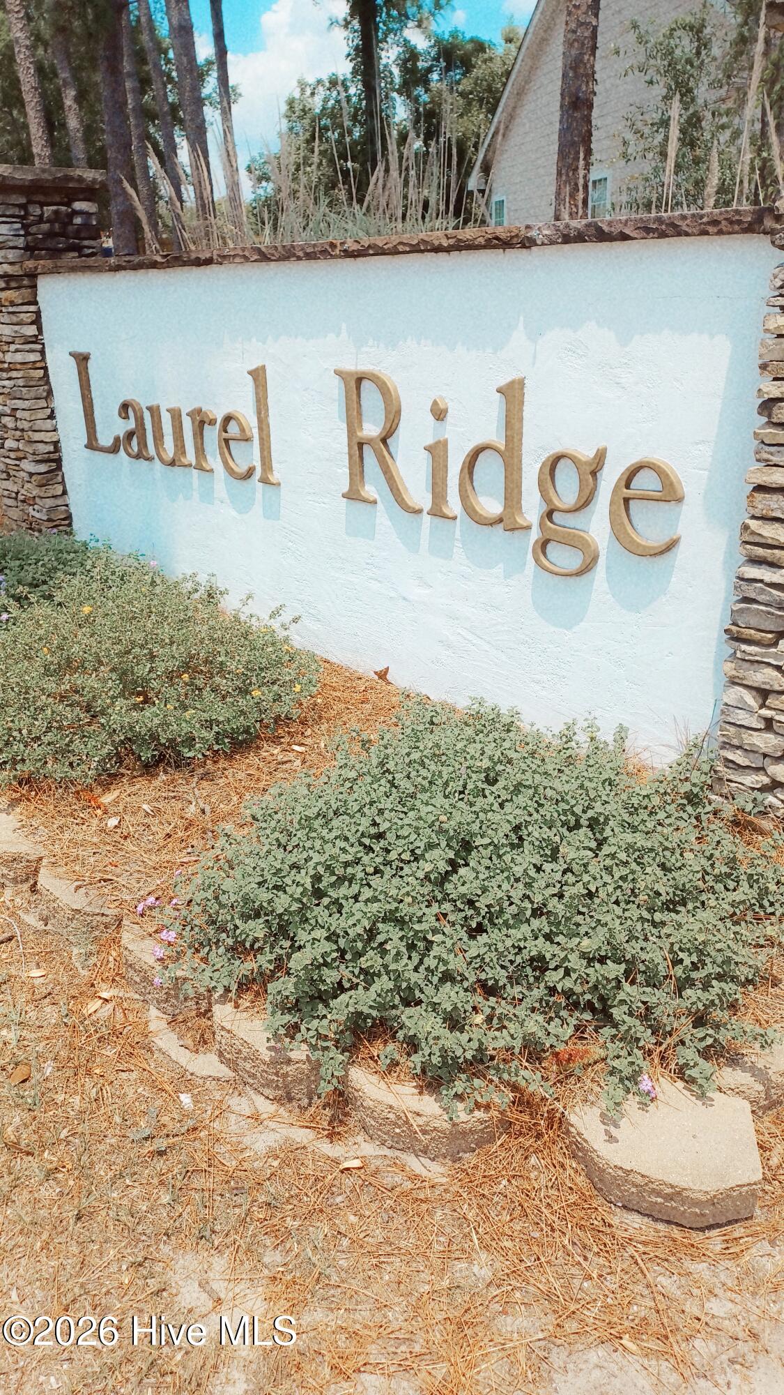 100586482 | Photo 2