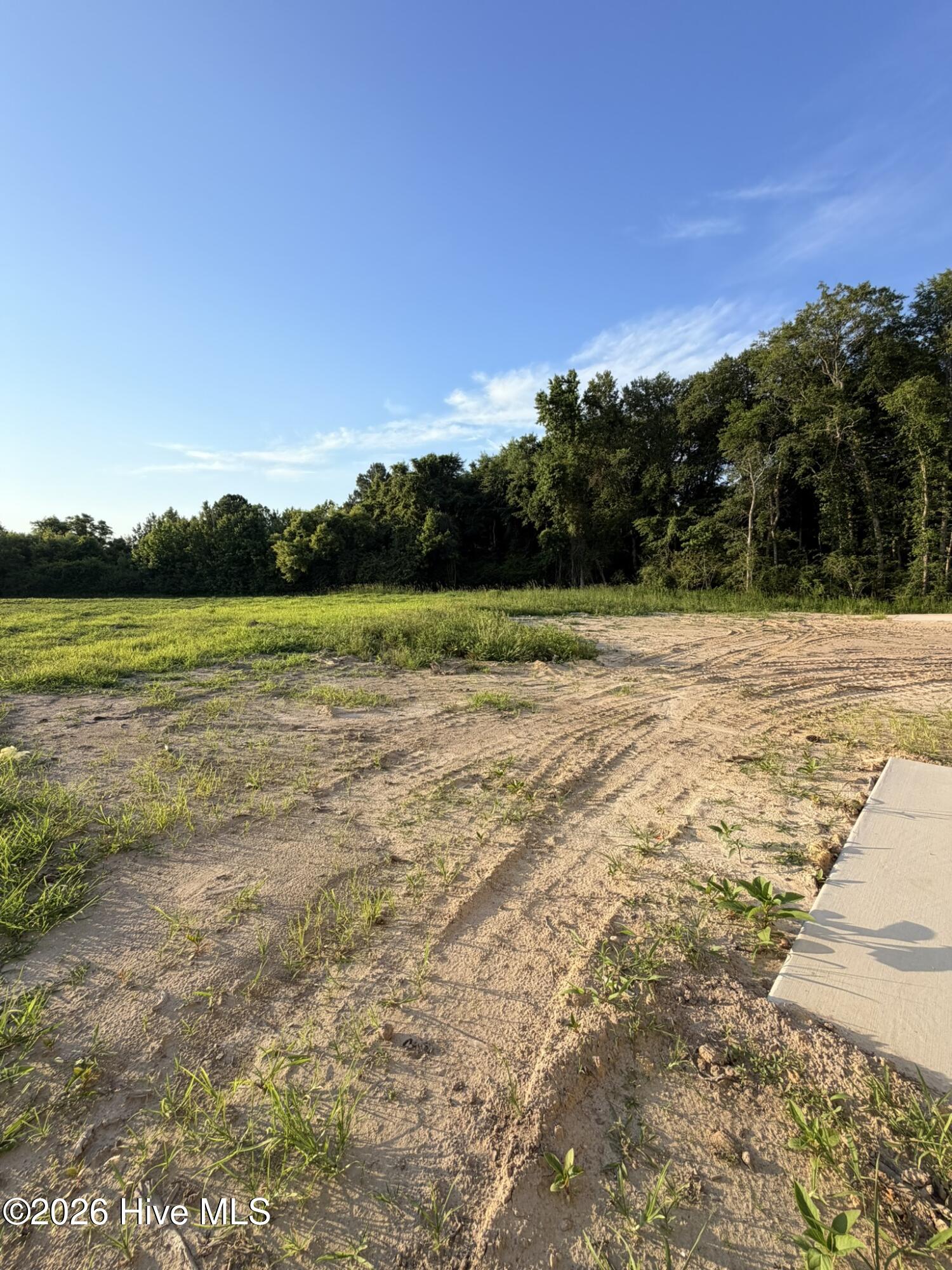 110 Palo Alto Park Drive,Maysville