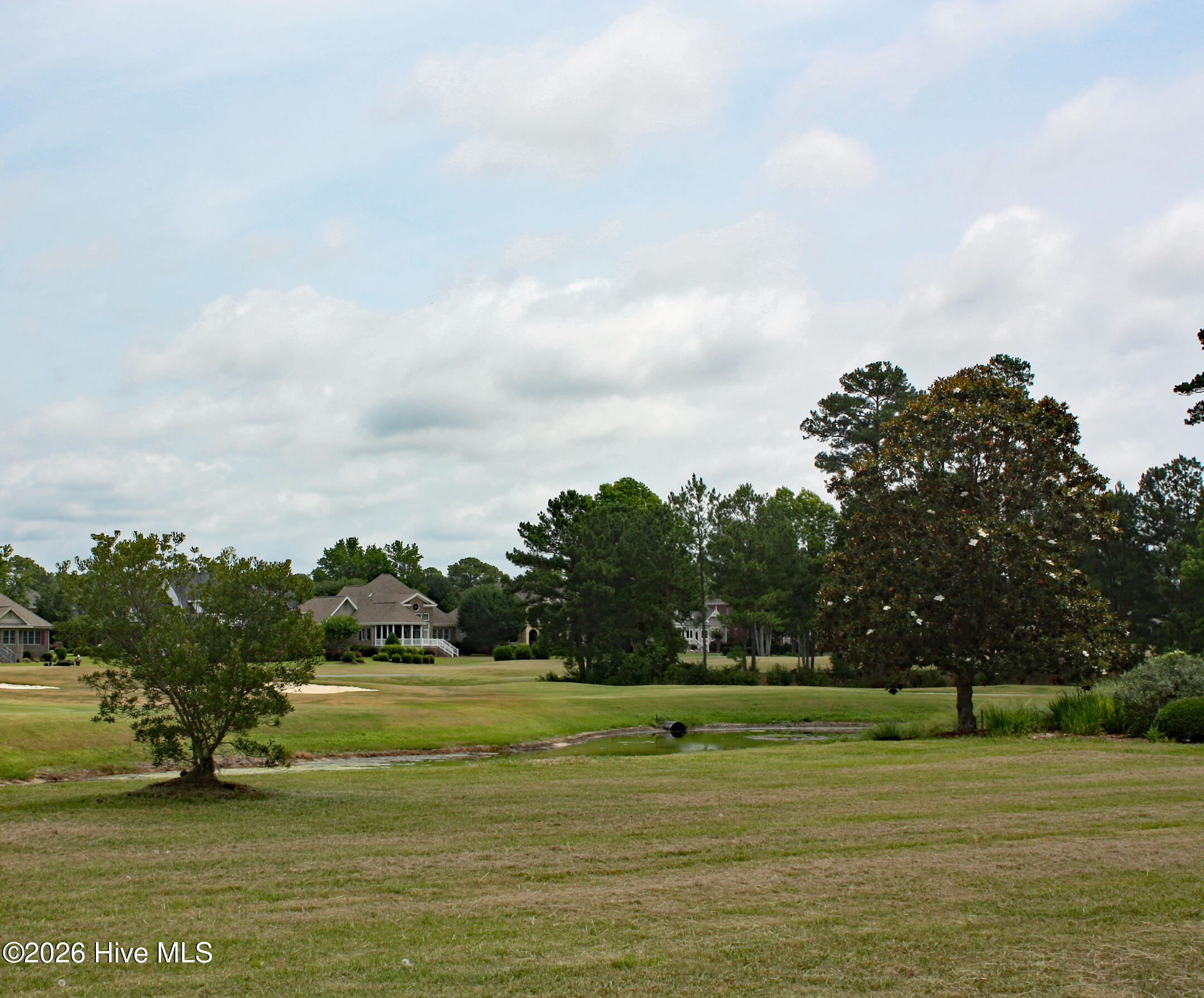 100580630 | Photo 6