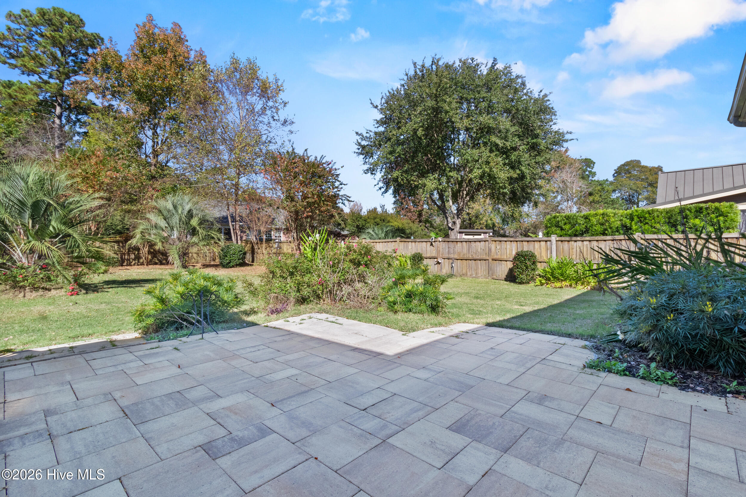 100541482 | Photo 40