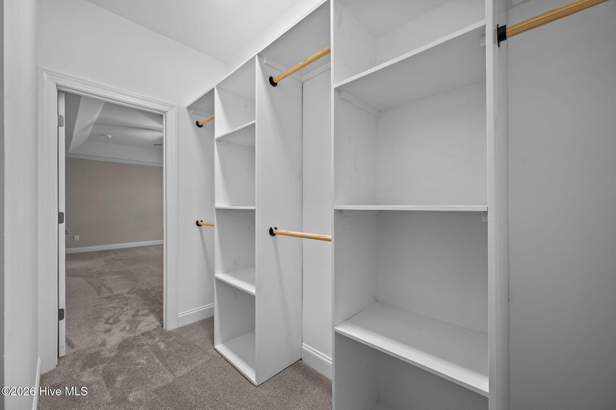 100557618 | Photo 39