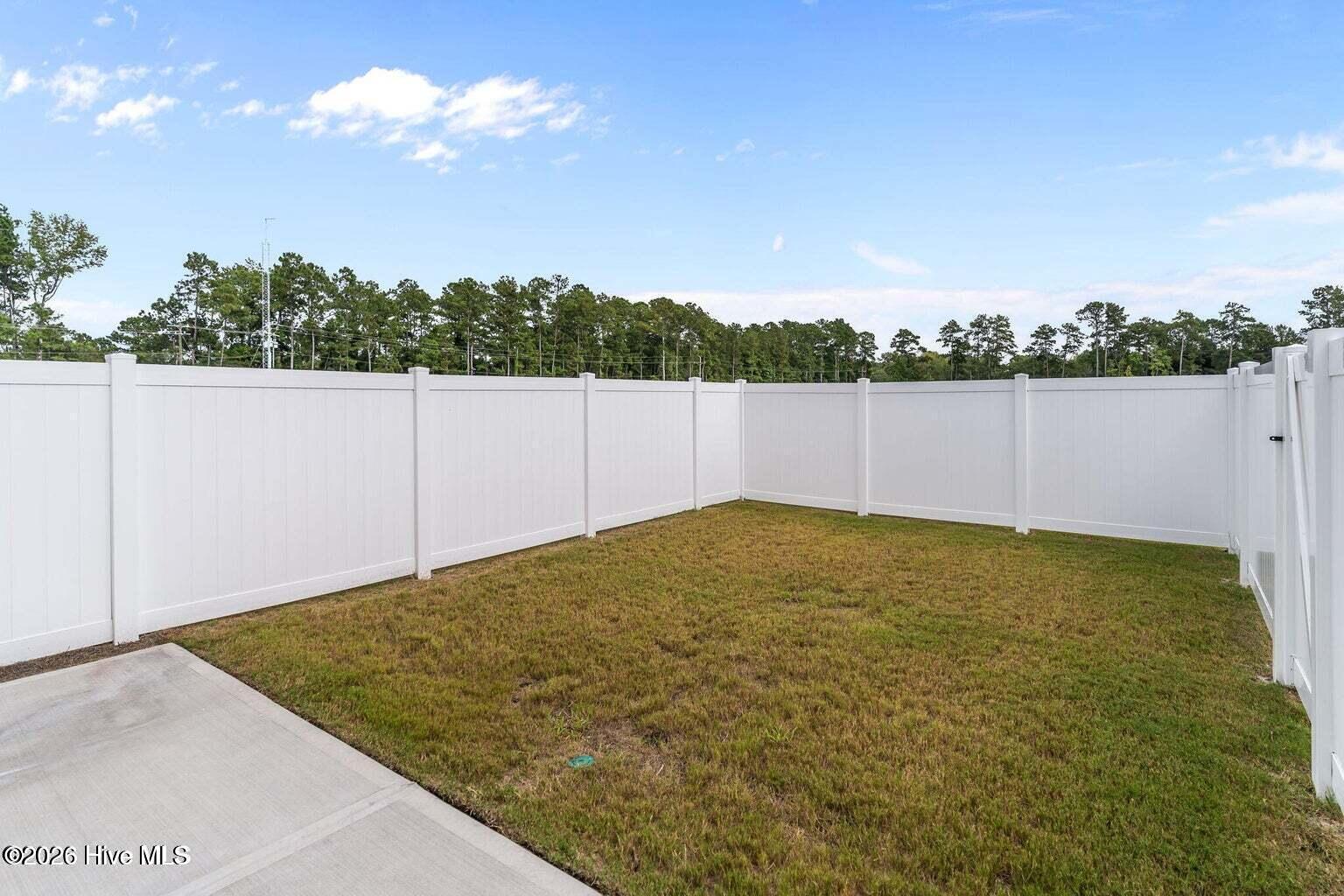 100576358 | Photo 8