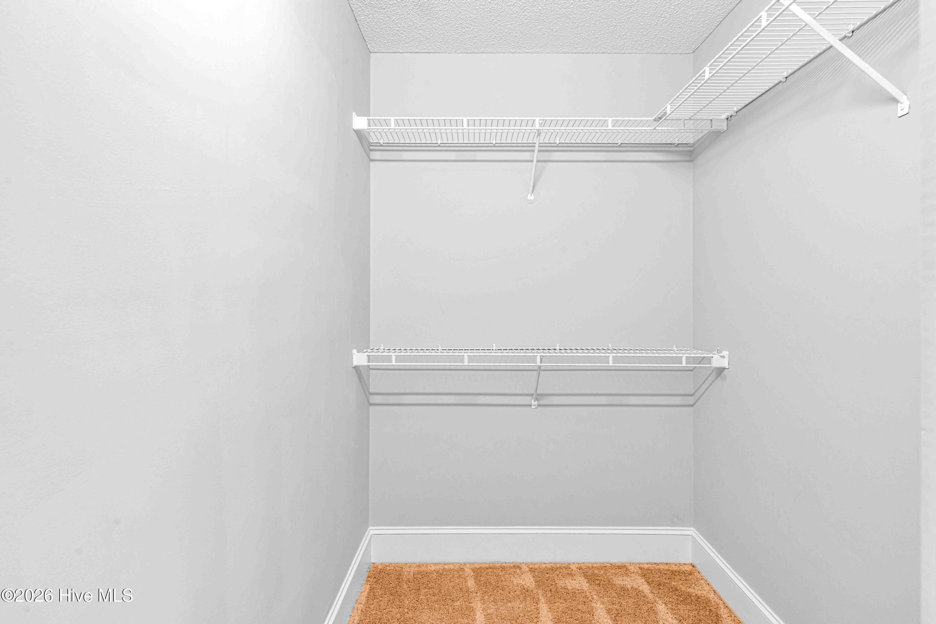 100555941 | Photo 21