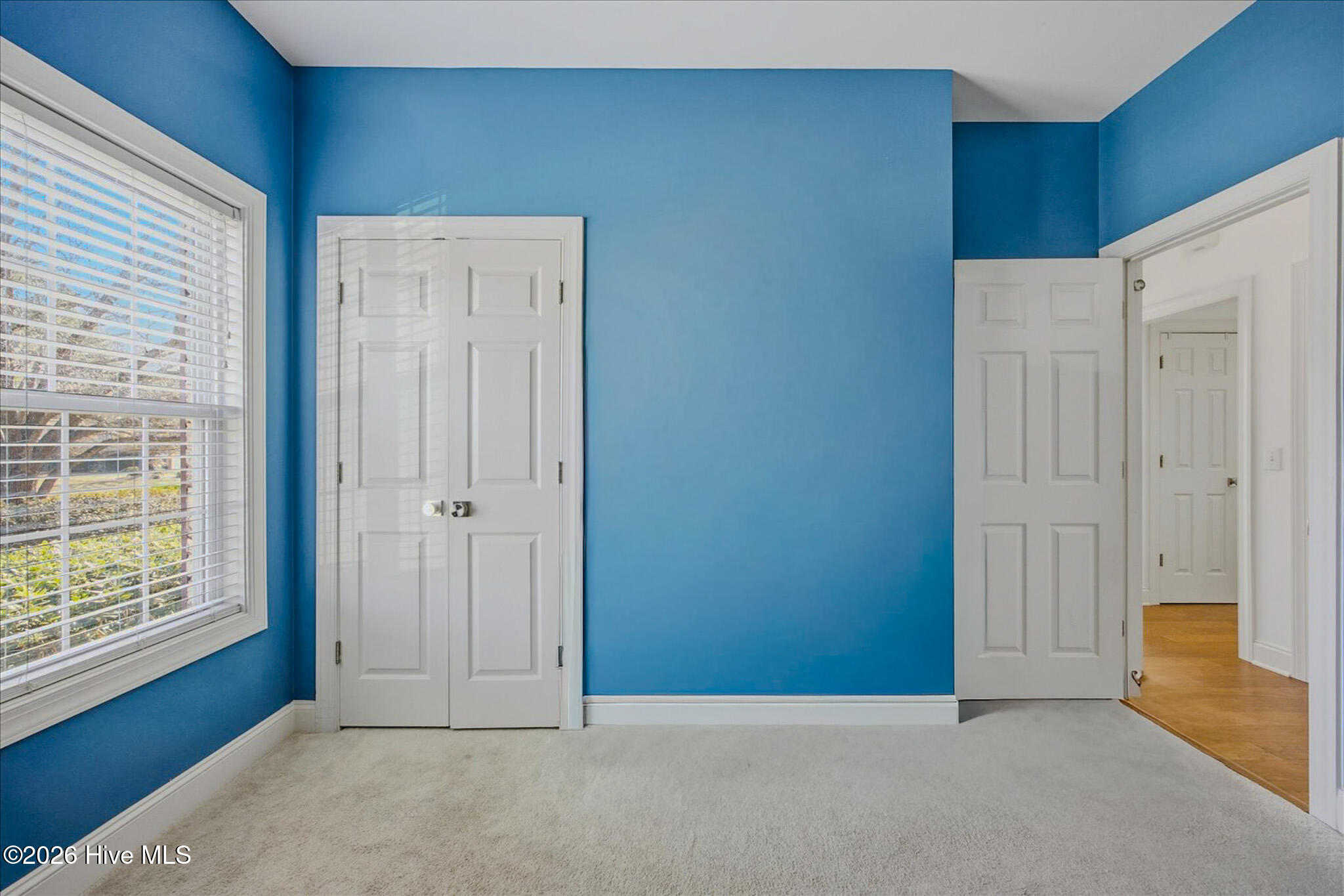 100554989 | Photo 30