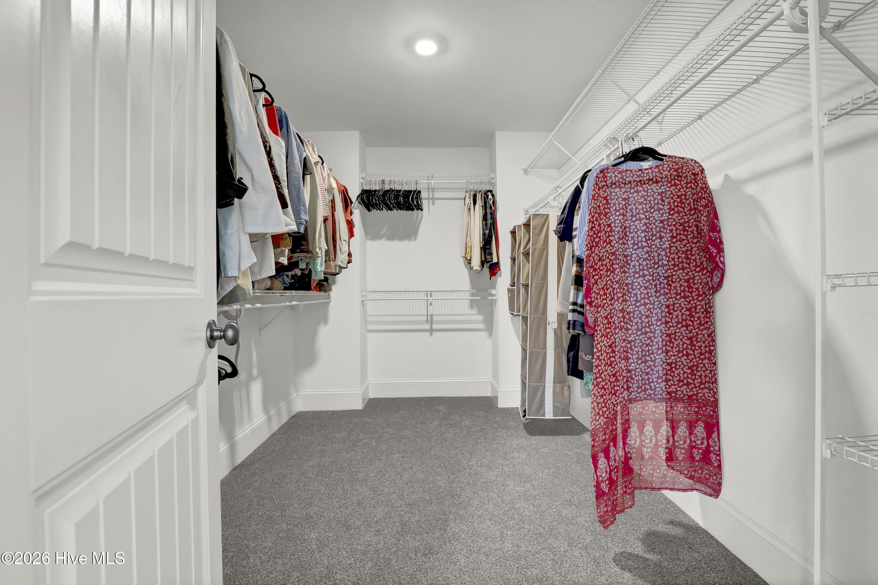 100569248 | Photo 31