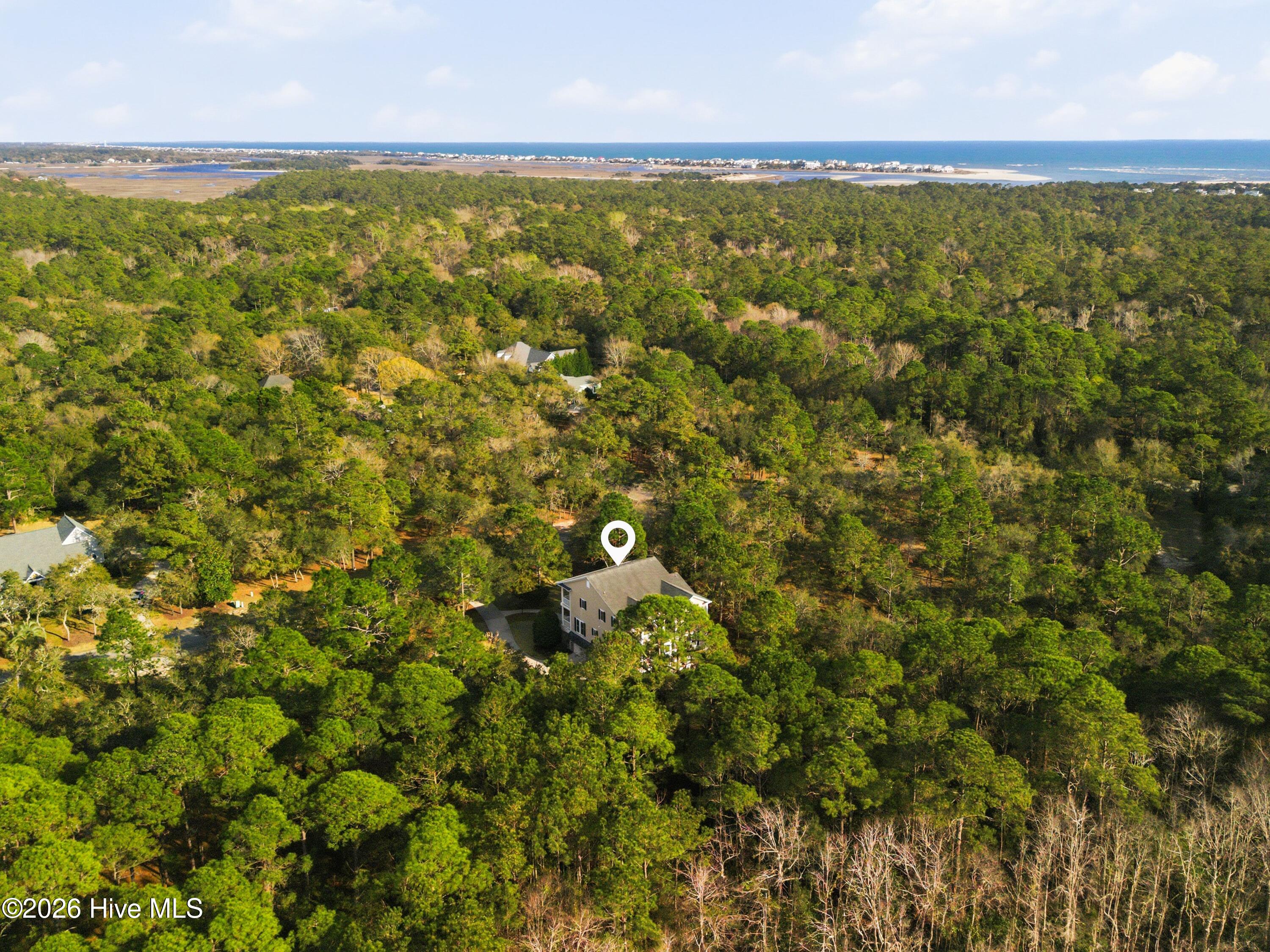 100560596 | Photo 81