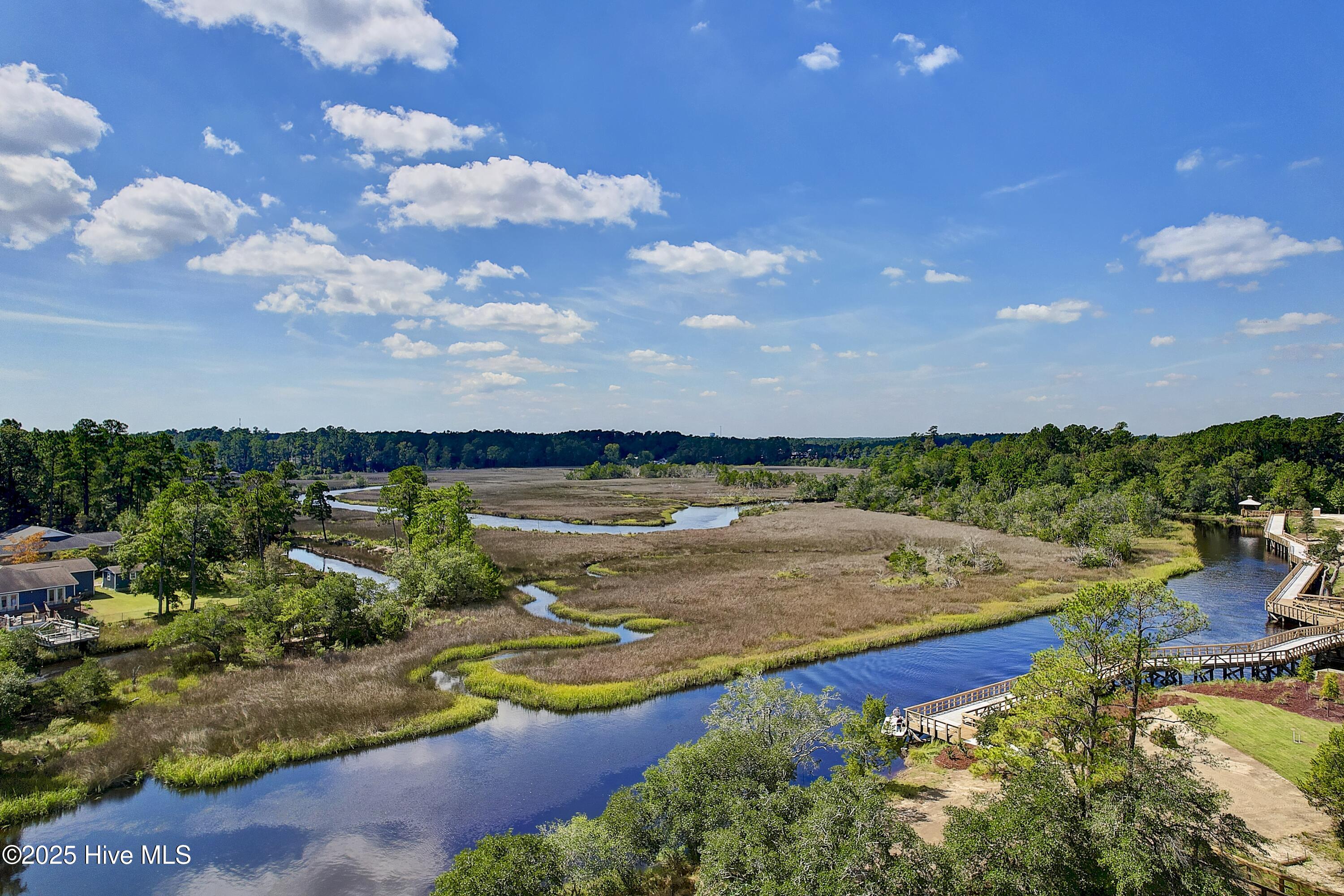 100499491 | Photo 13