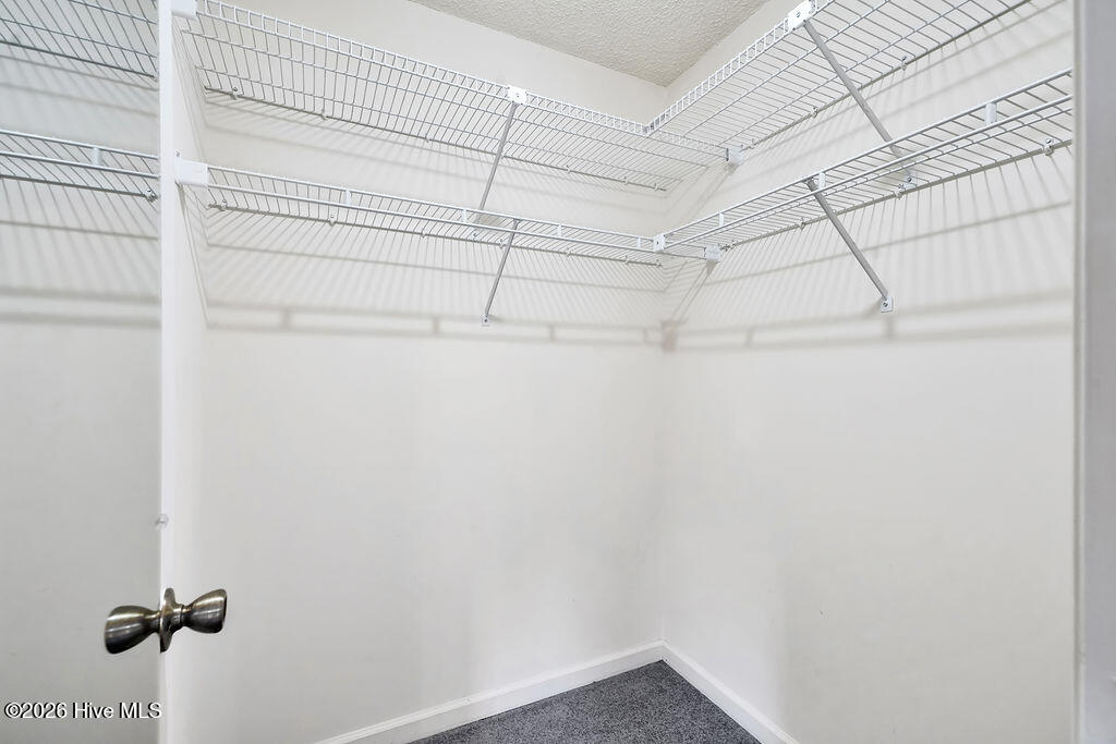 100555212 | Photo 10