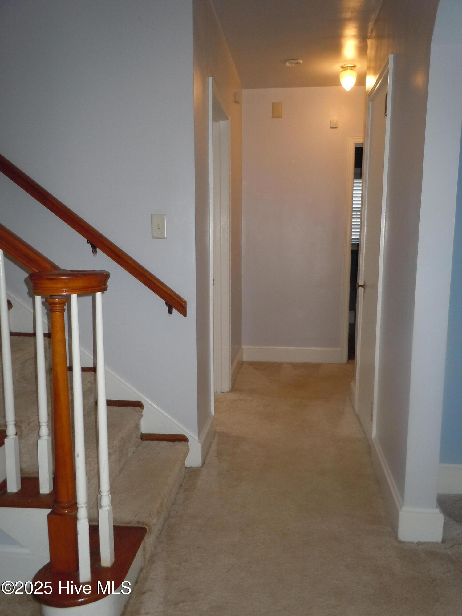 100536293 | Photo 21