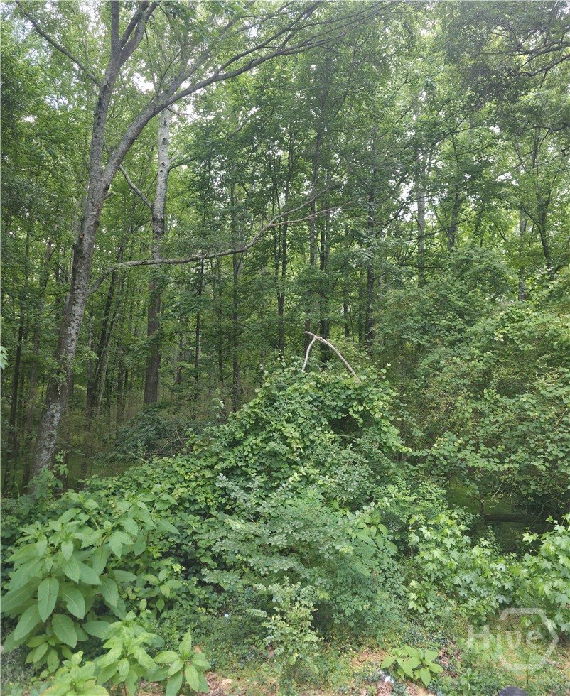 Property at 270 Cora Lou Lane