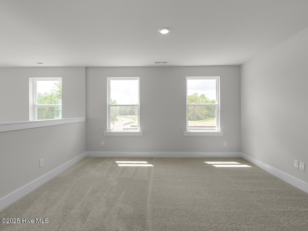 100567988 | Photo 23