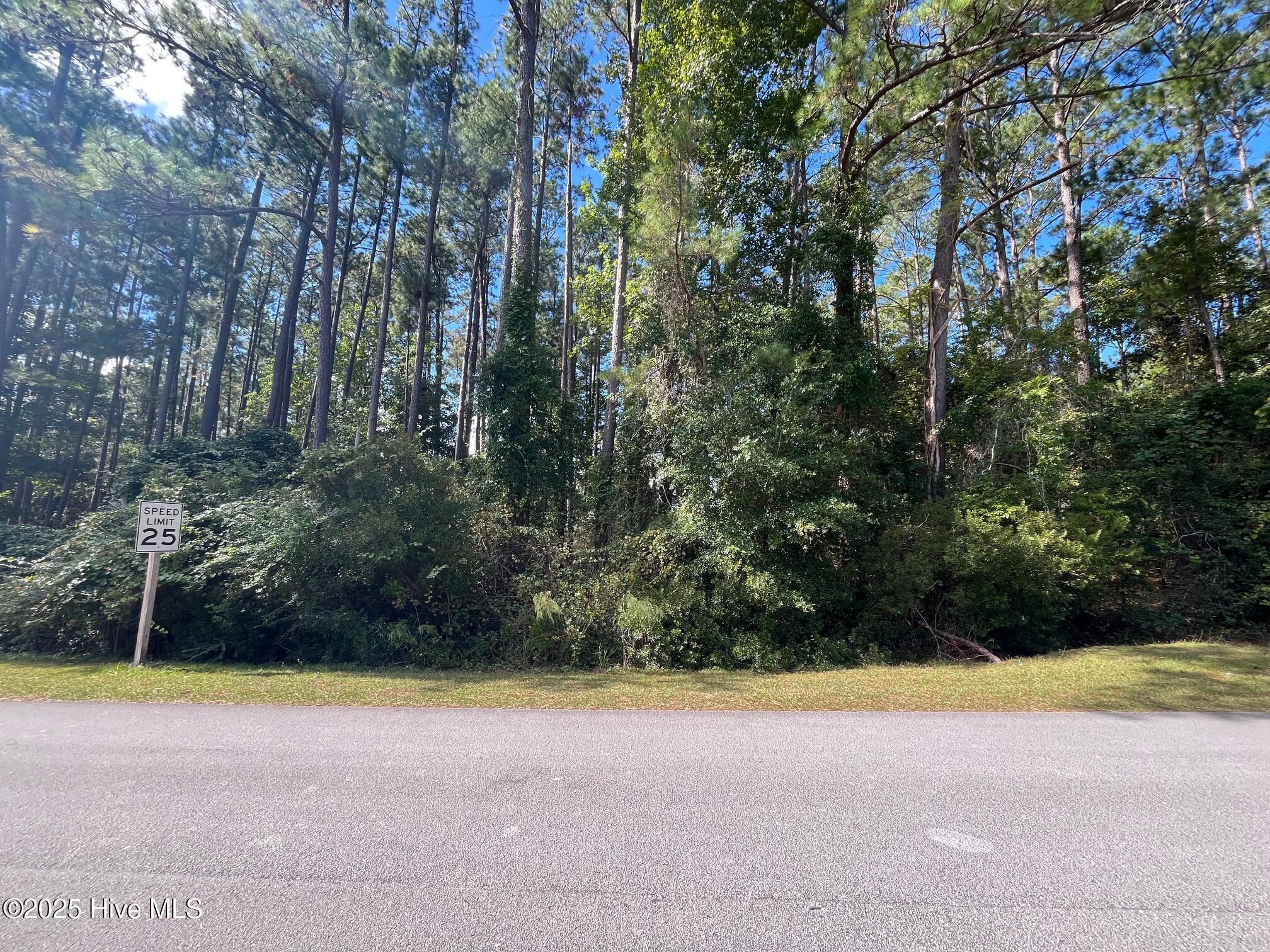 320 Hardison Drive,Minnesott Beach