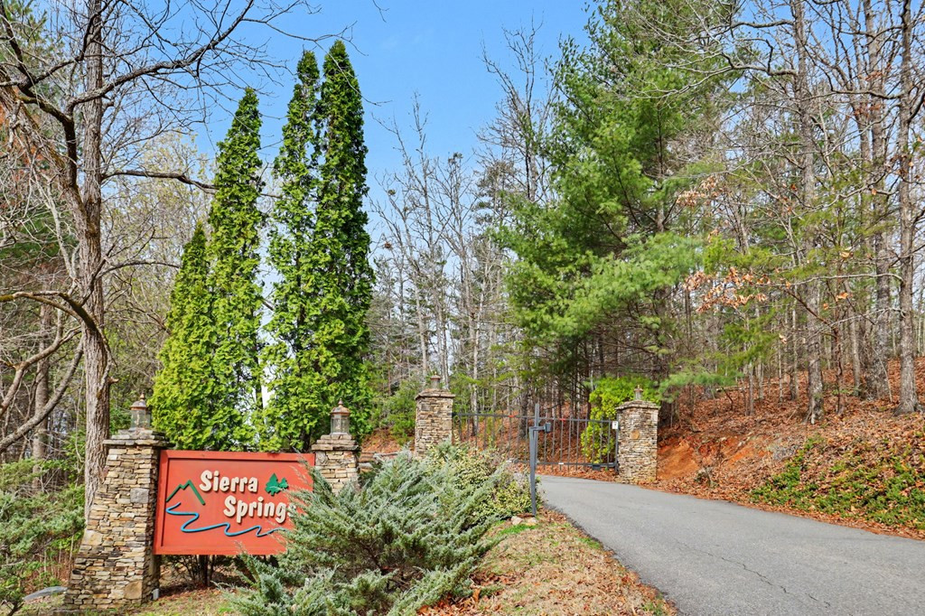 368 Sierra Springs Drive, Murphy, NC 28906 Listing Photo  69