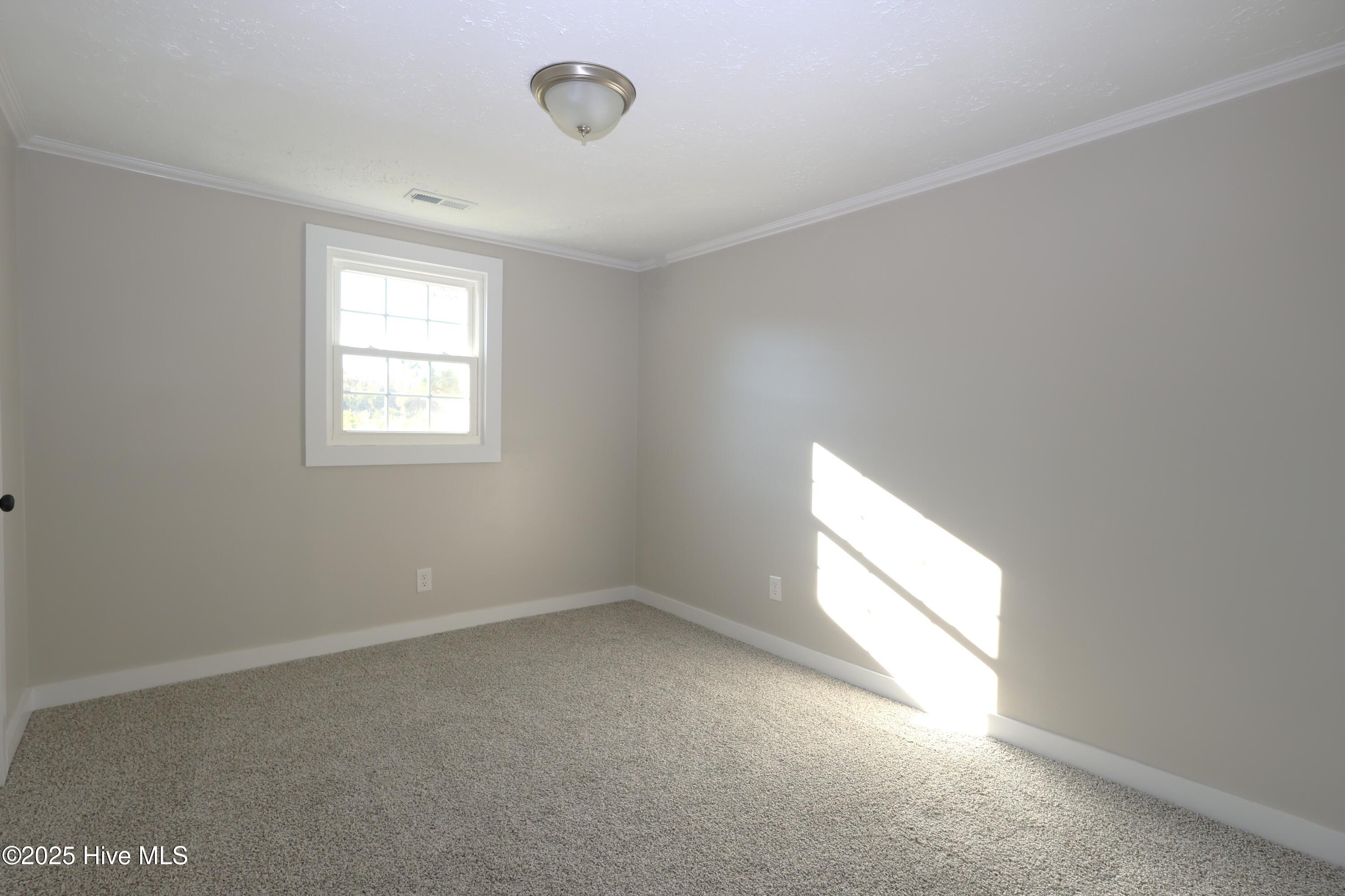 100554143 | Photo 18