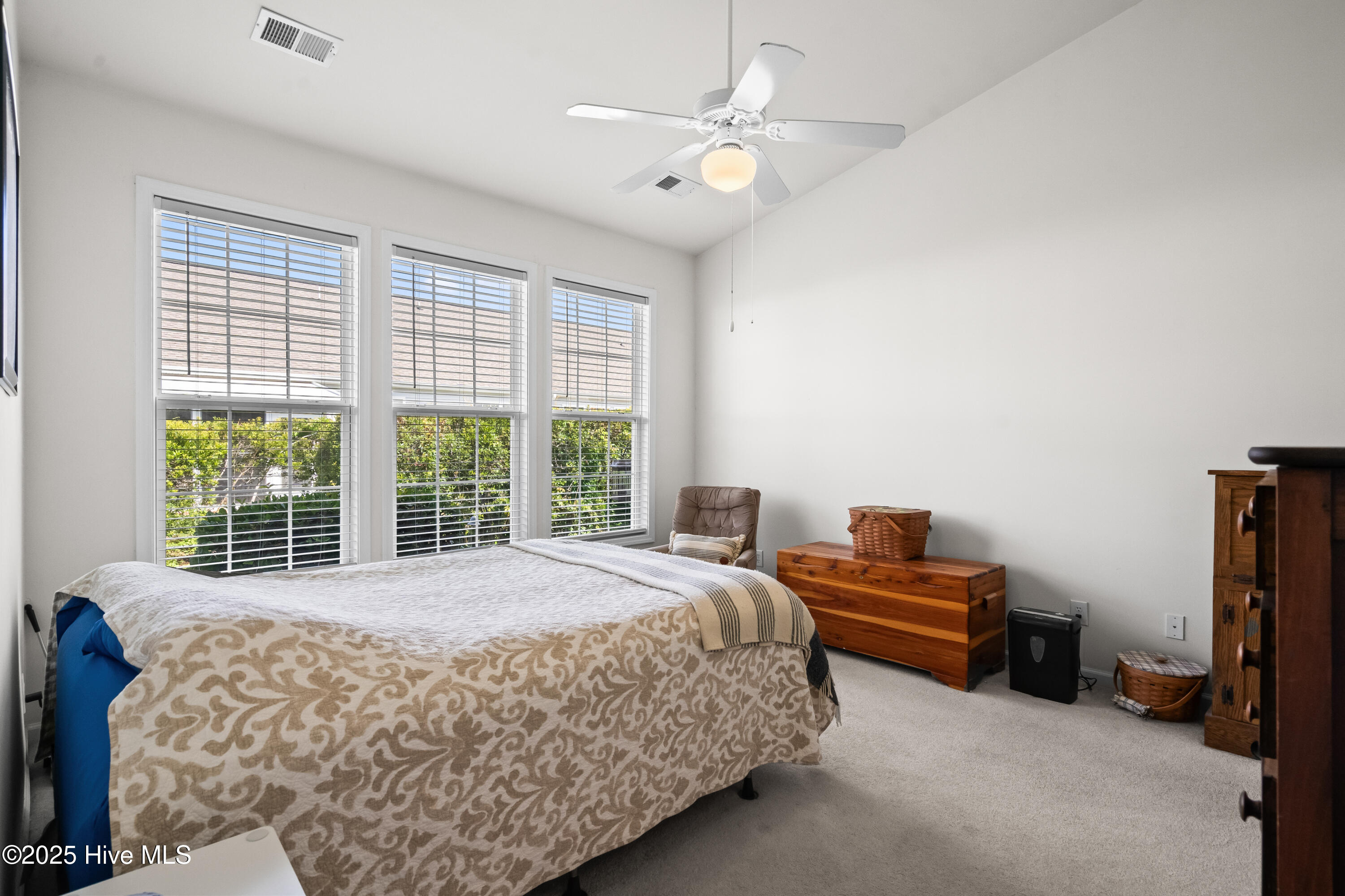 100552402 | Photo 19