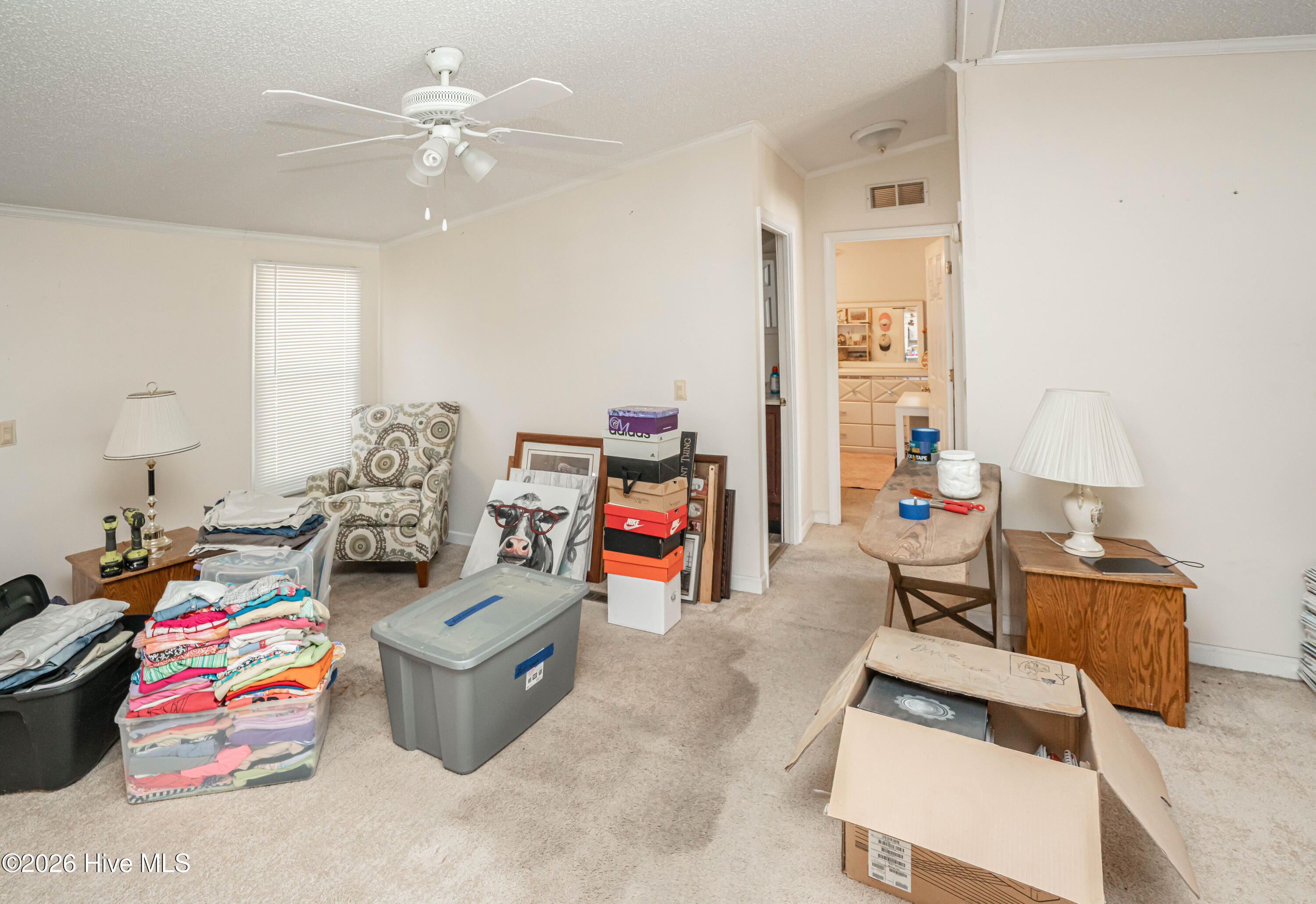 100567070 | Photo 19