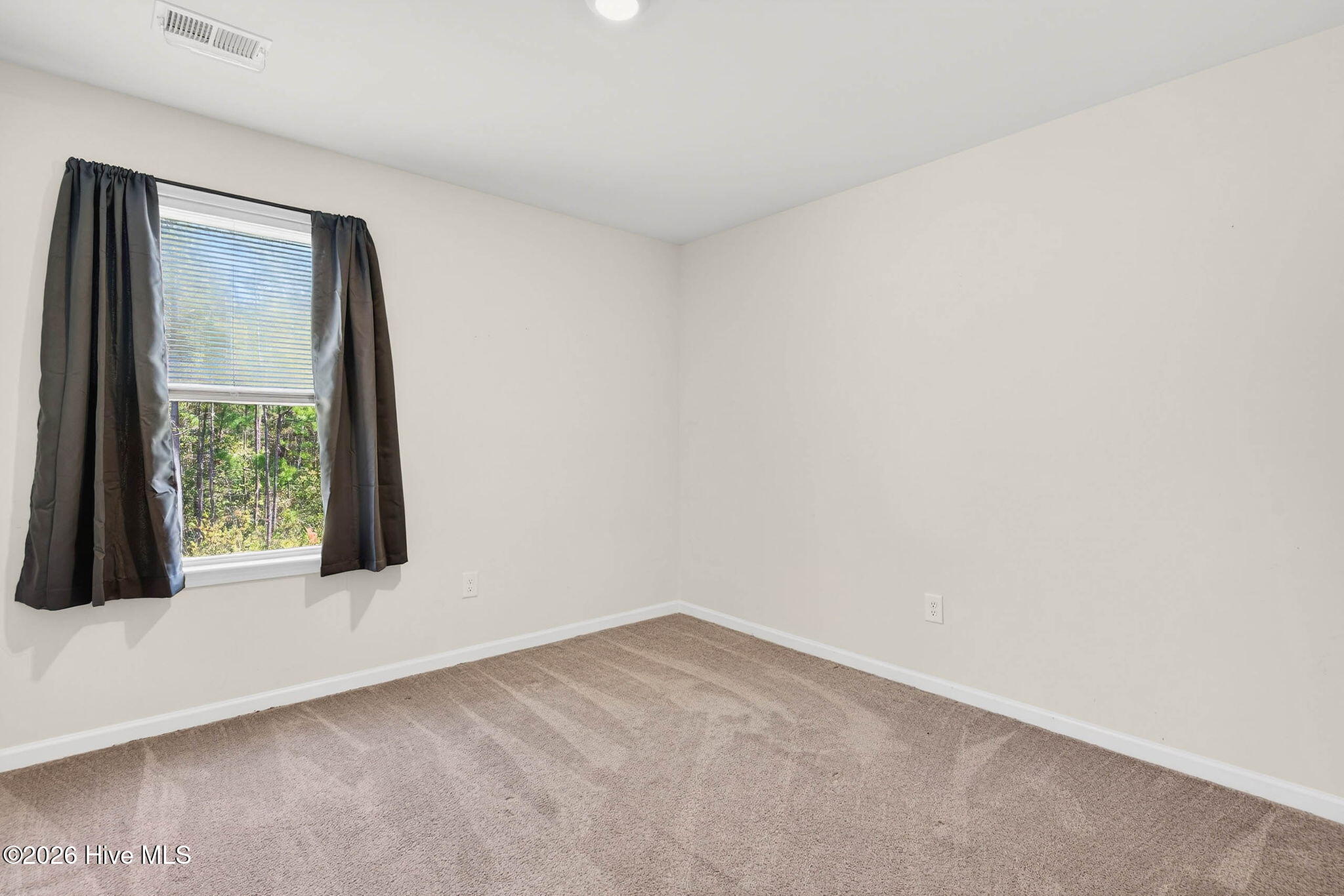 100564193 | Photo 34