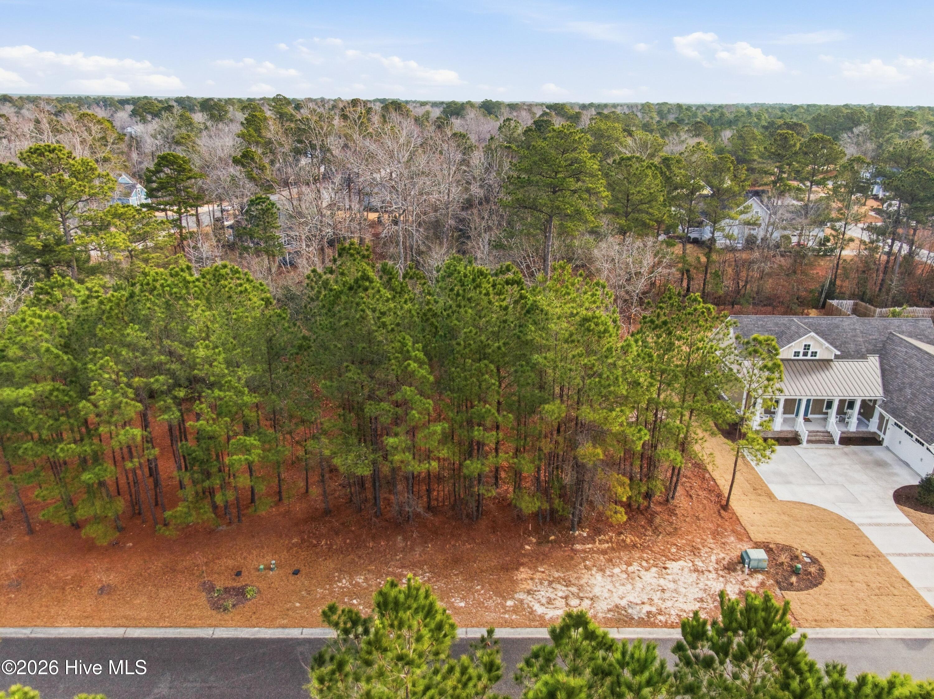 100551490 | Photo 55