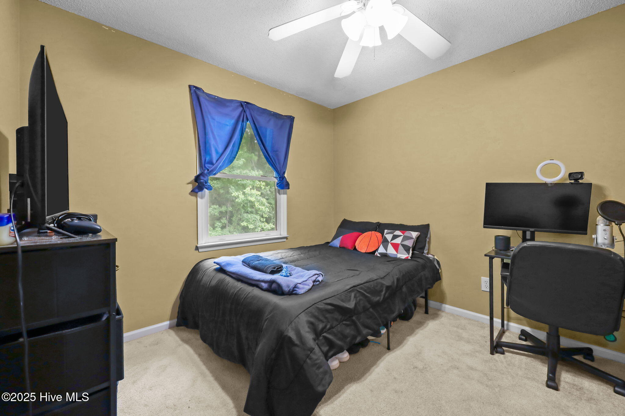 100546083 | Photo 14