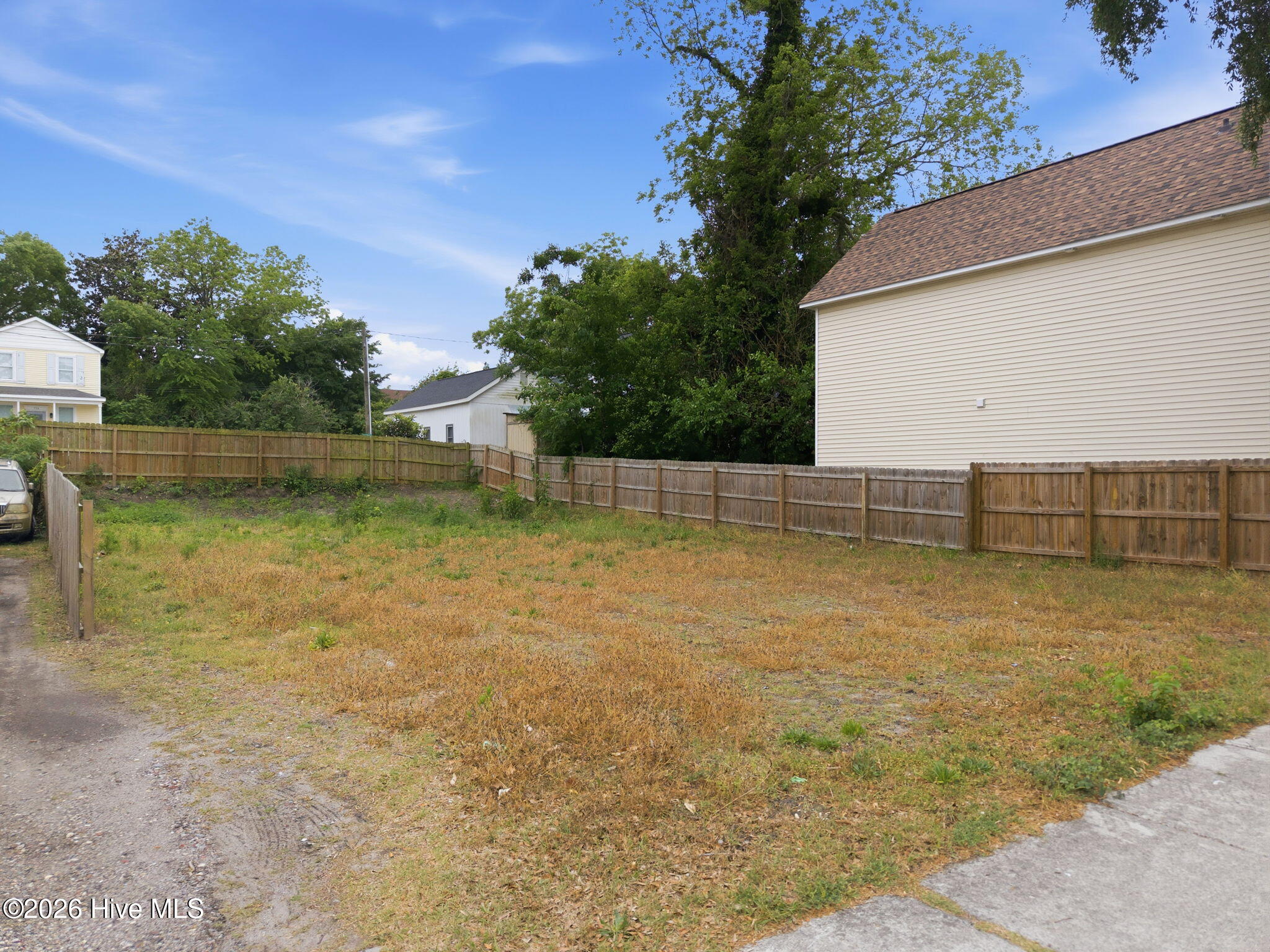 100570219 | Photo 19