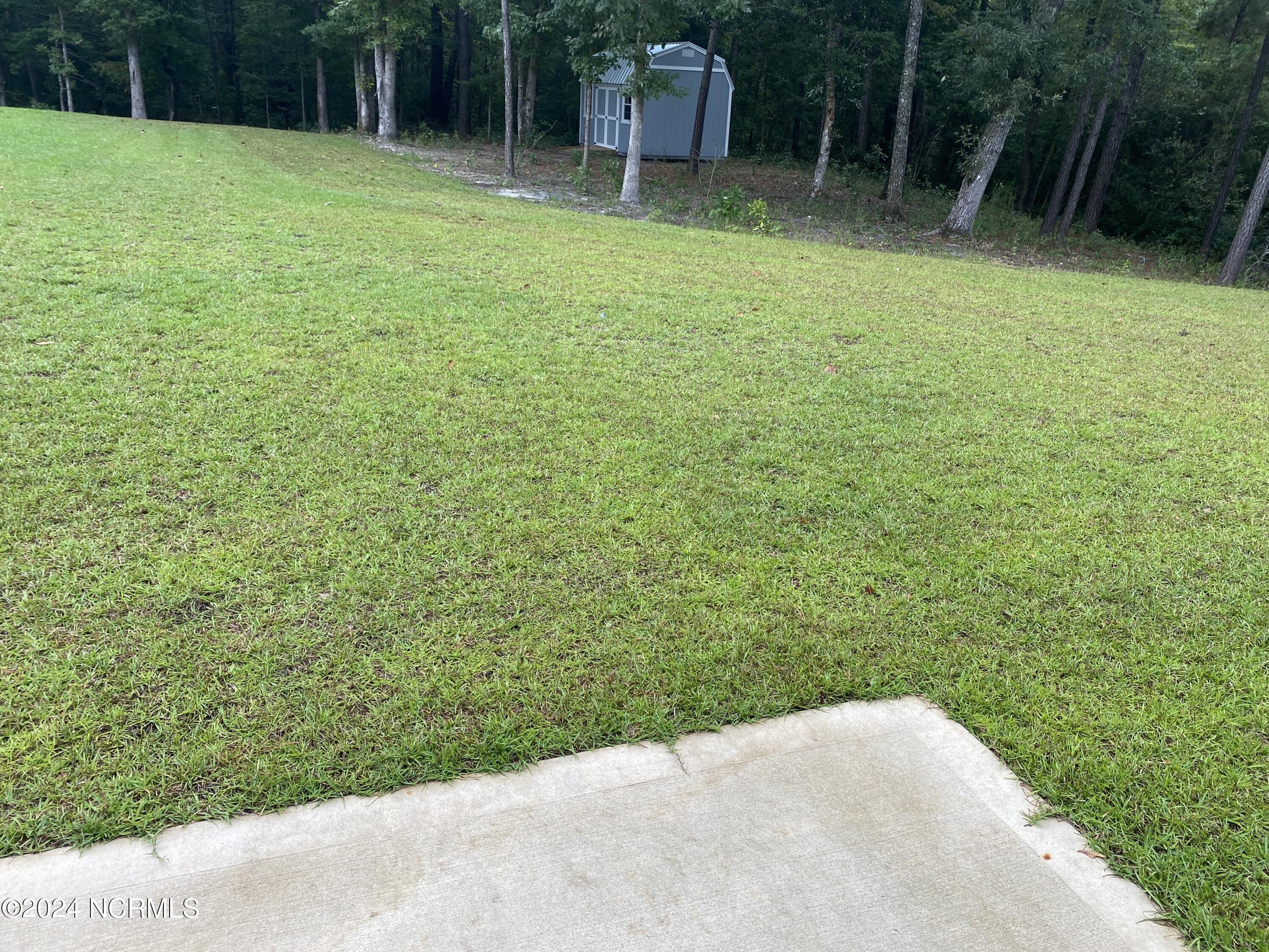 100559230 | Photo 24